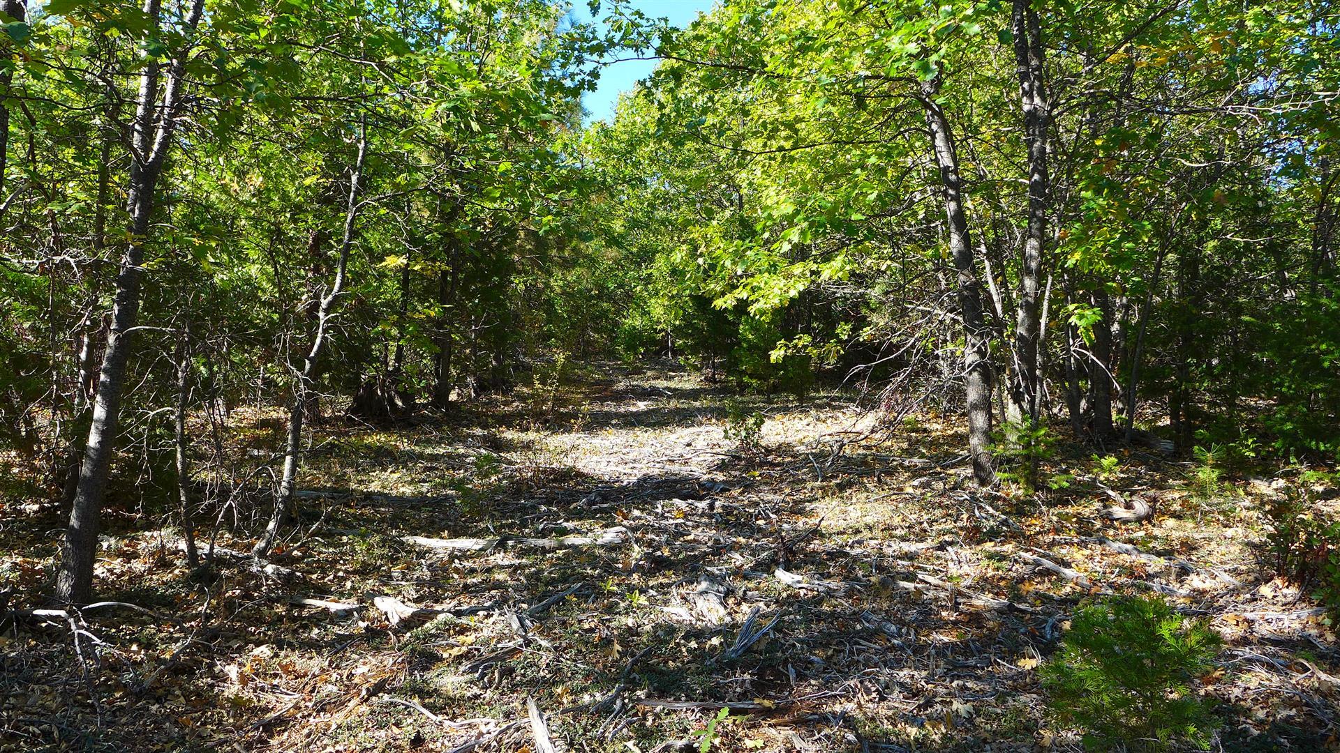 property viewer photo 12