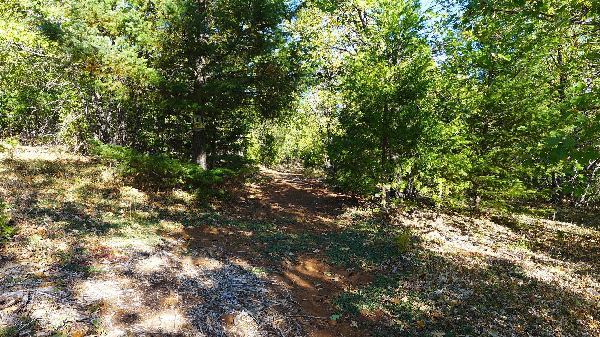 property viewer photo 13