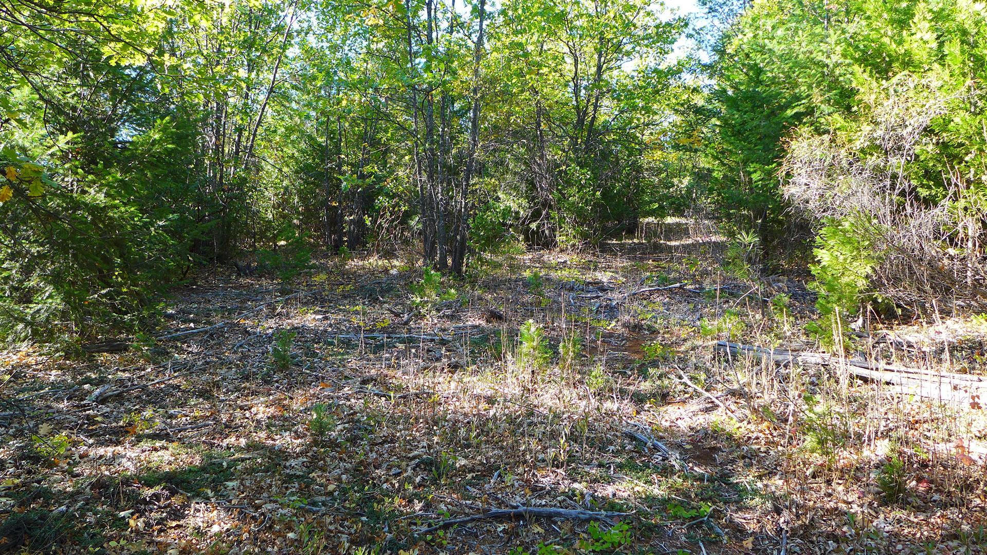 property viewer photo 14