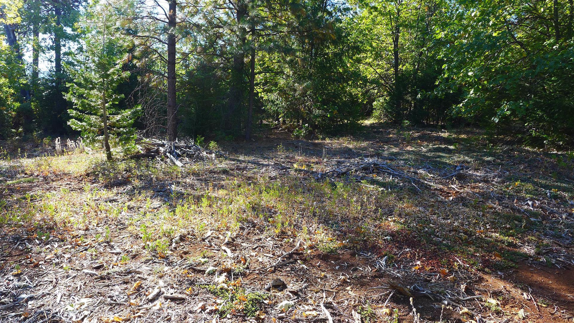property viewer photo 15