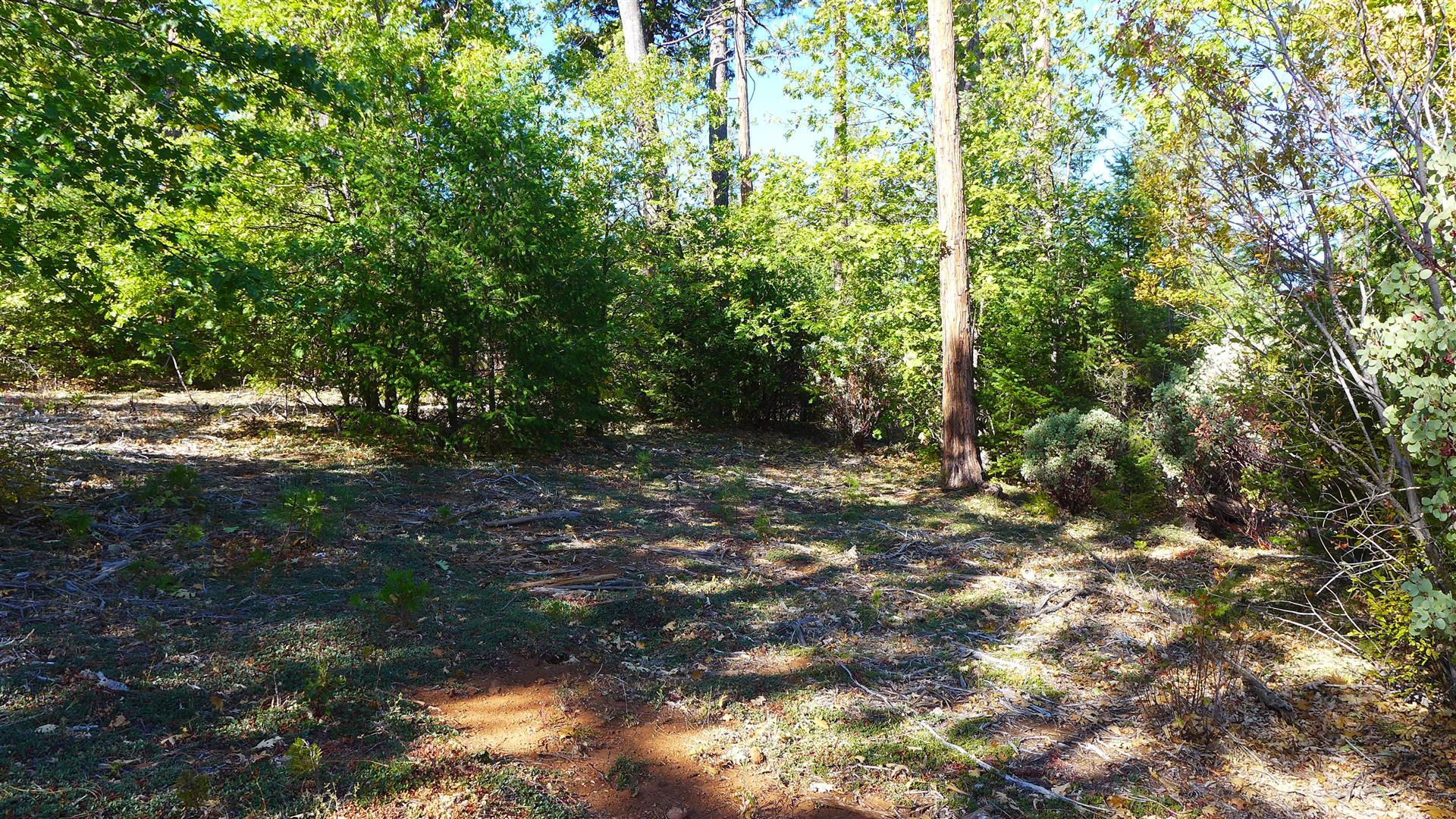 property viewer photo 16
