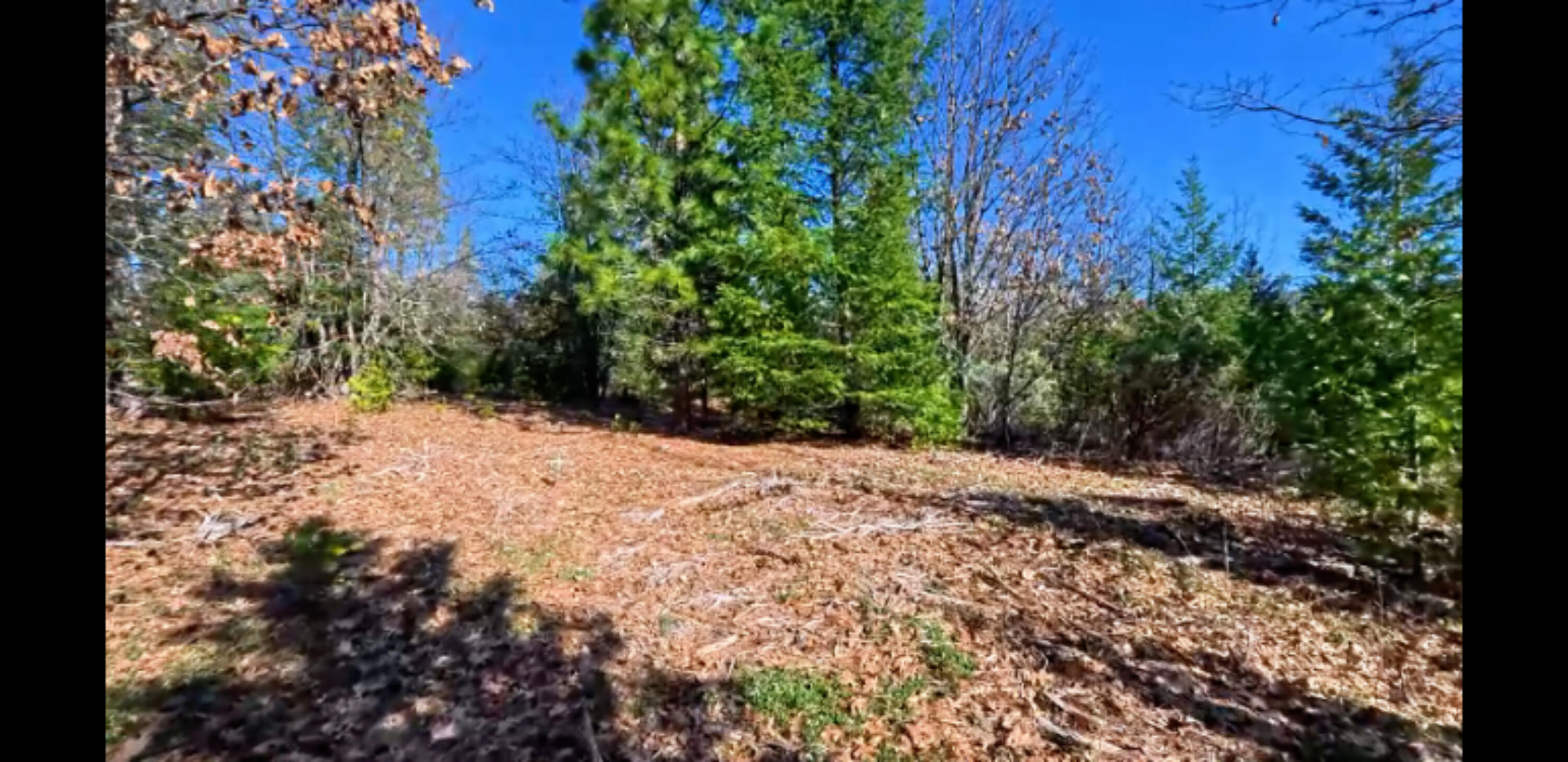 property viewer photo 2