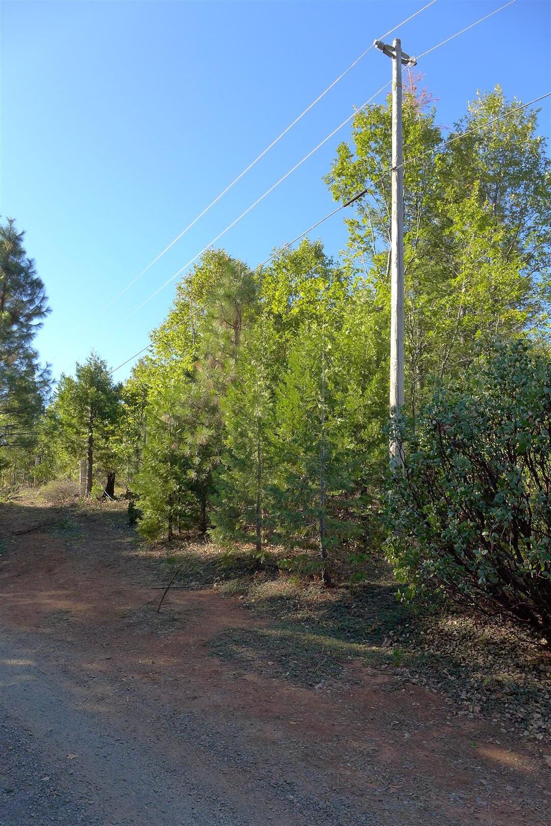 property viewer photo 7