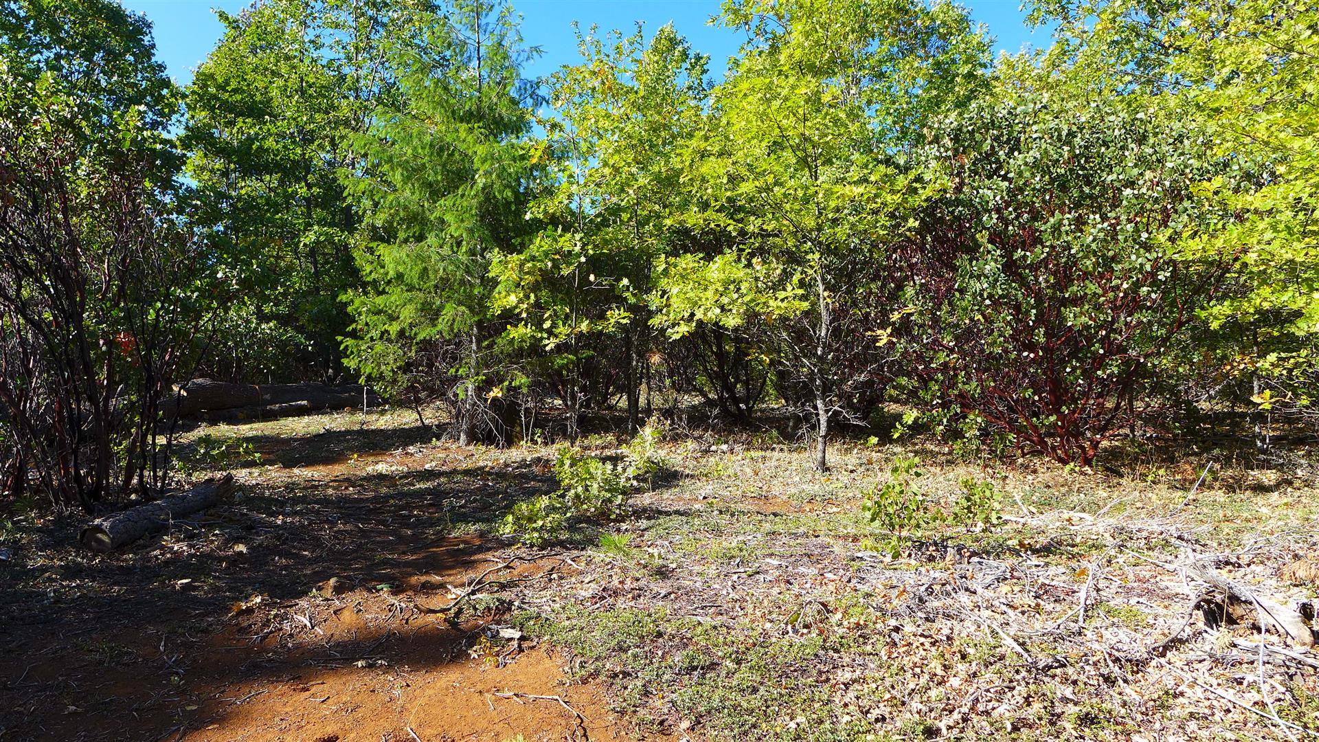 property viewer photo 9