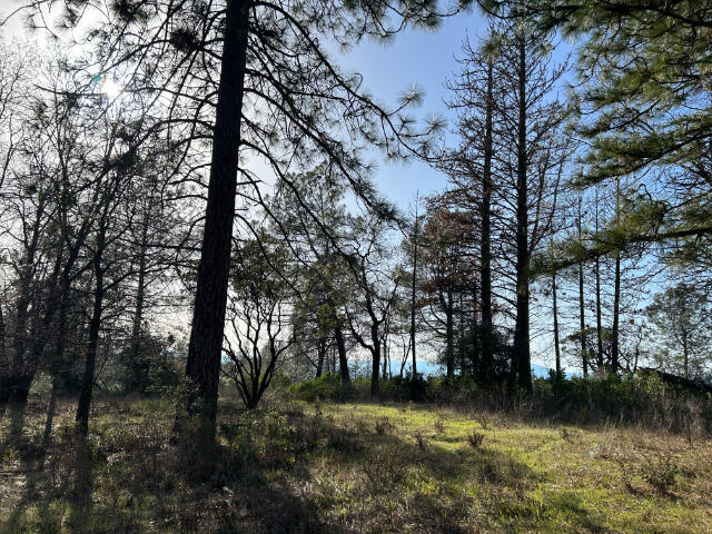 property viewer photo 3