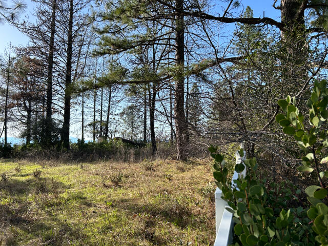 property viewer photo 4