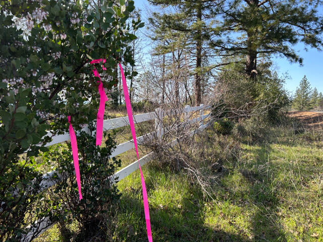 property viewer photo 5