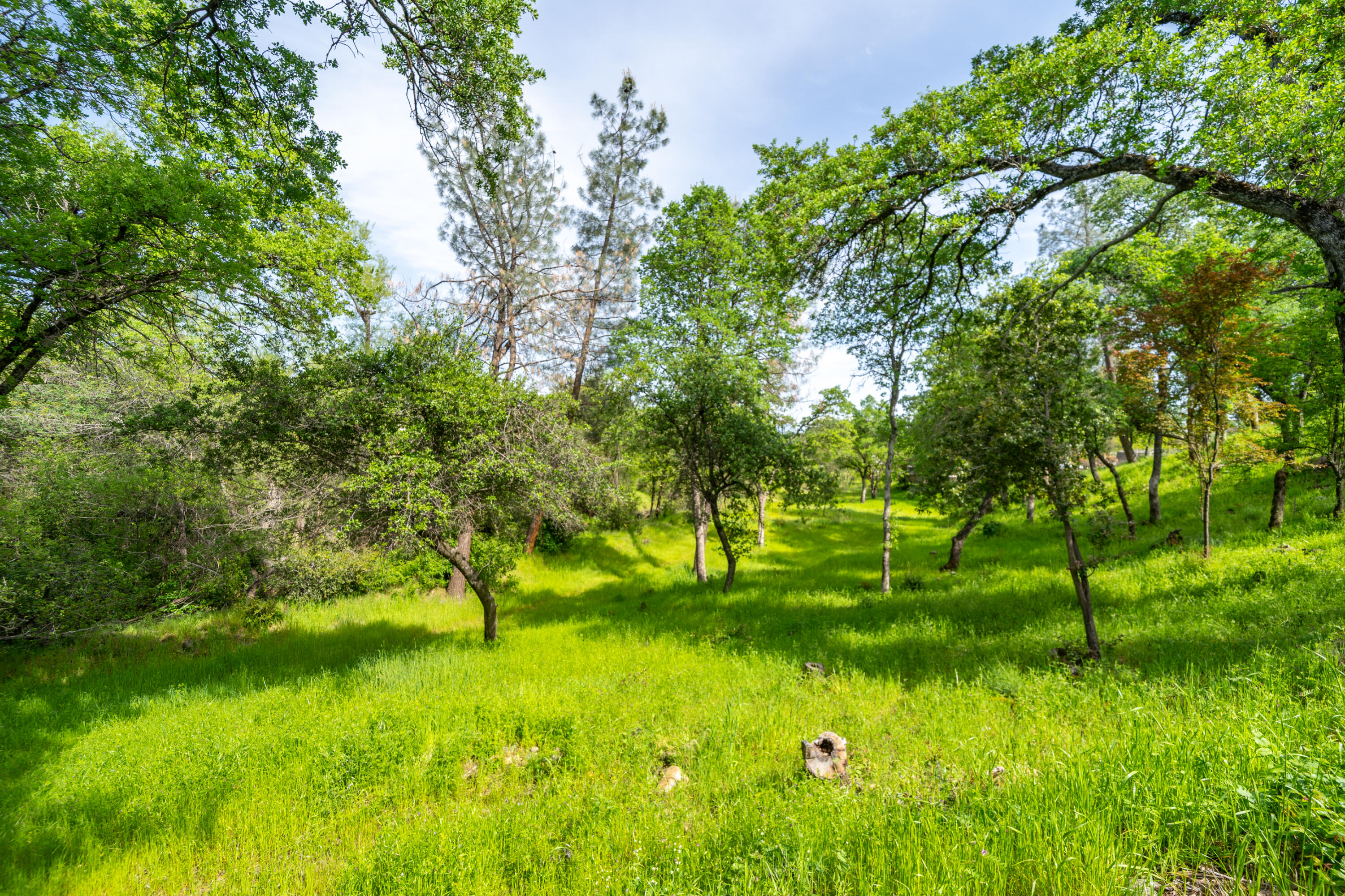main property photo 47