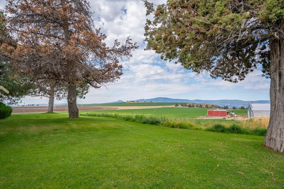main property photo 130