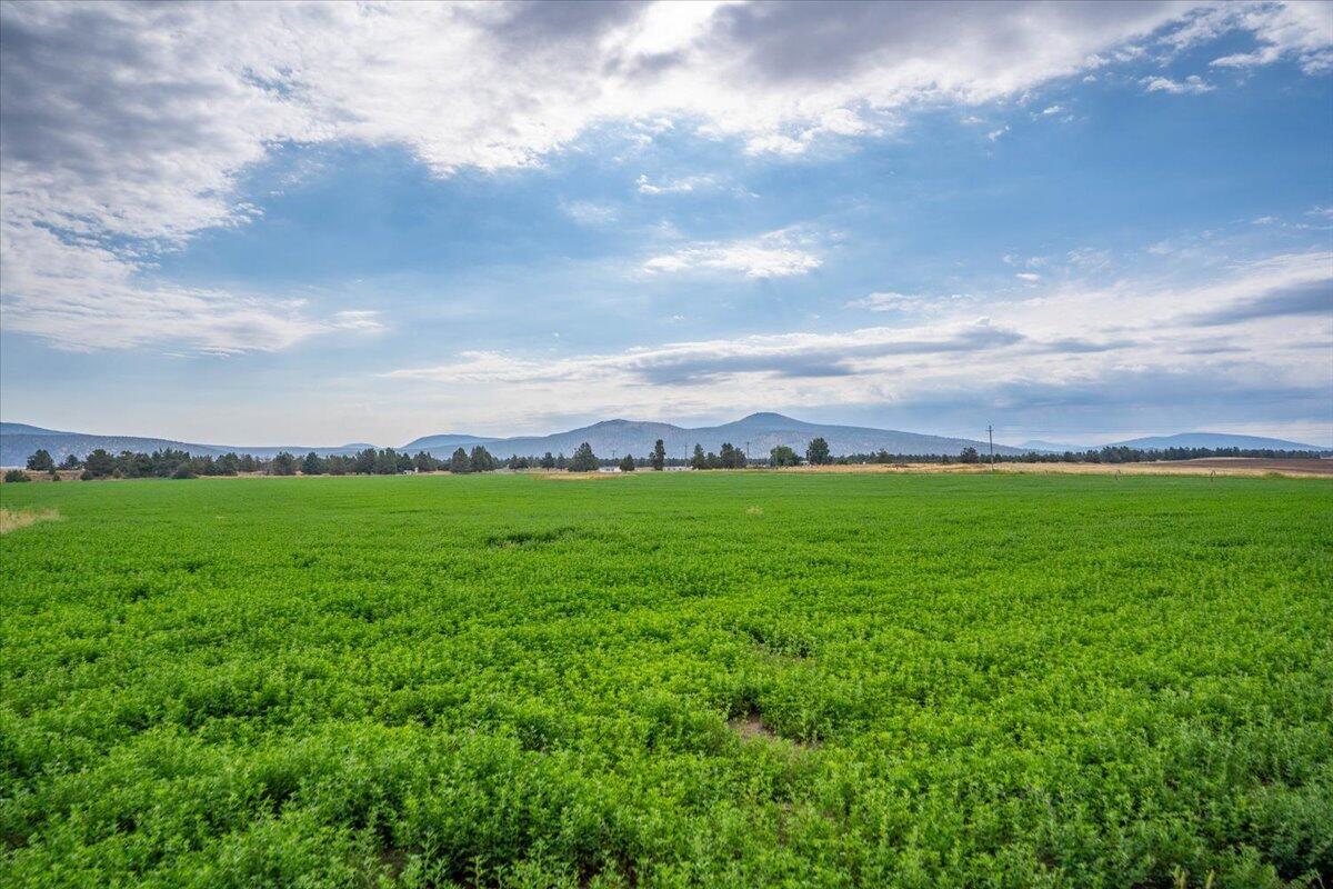 main property photo 132