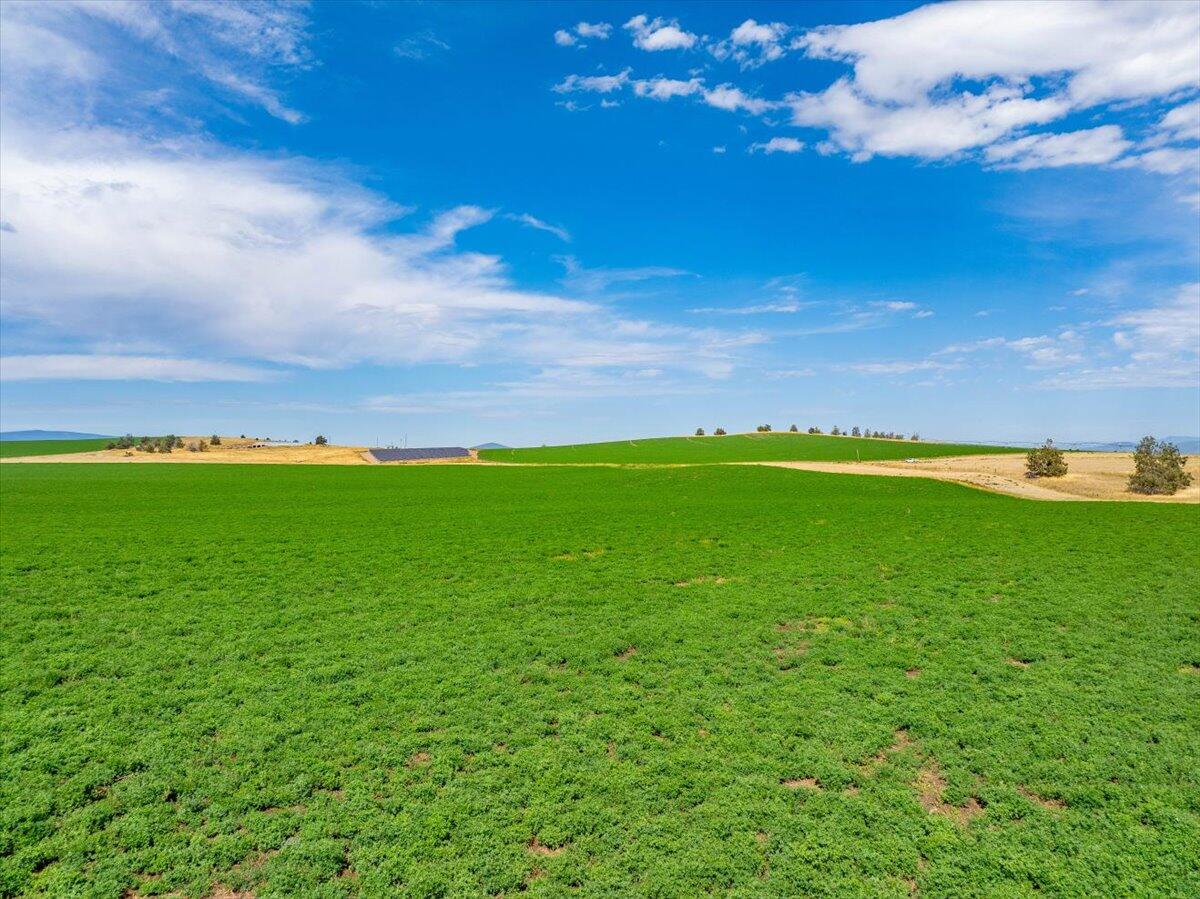 main property photo 79