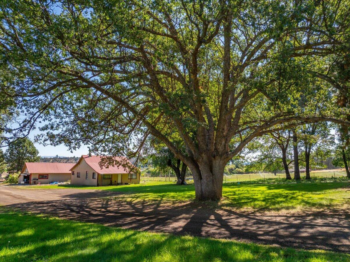 main property photo 68