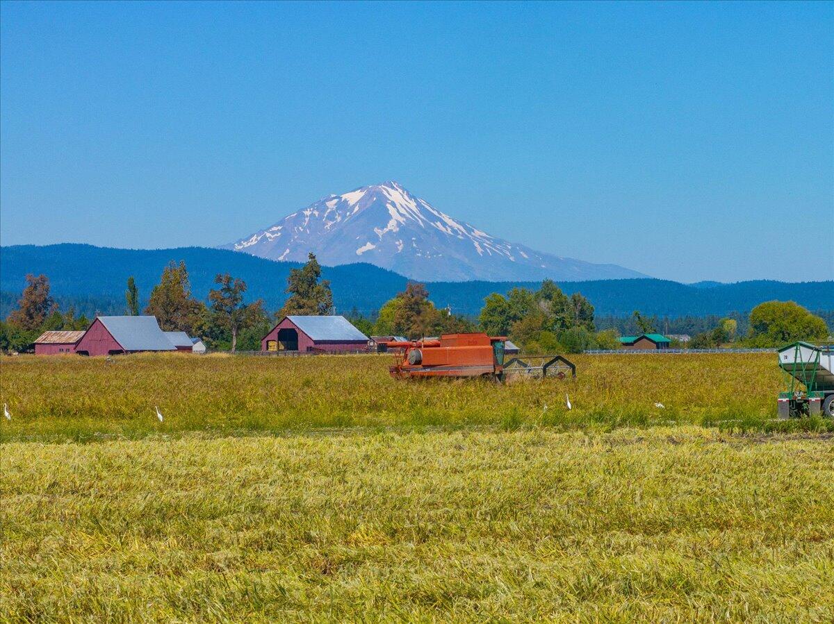 main property photo 93