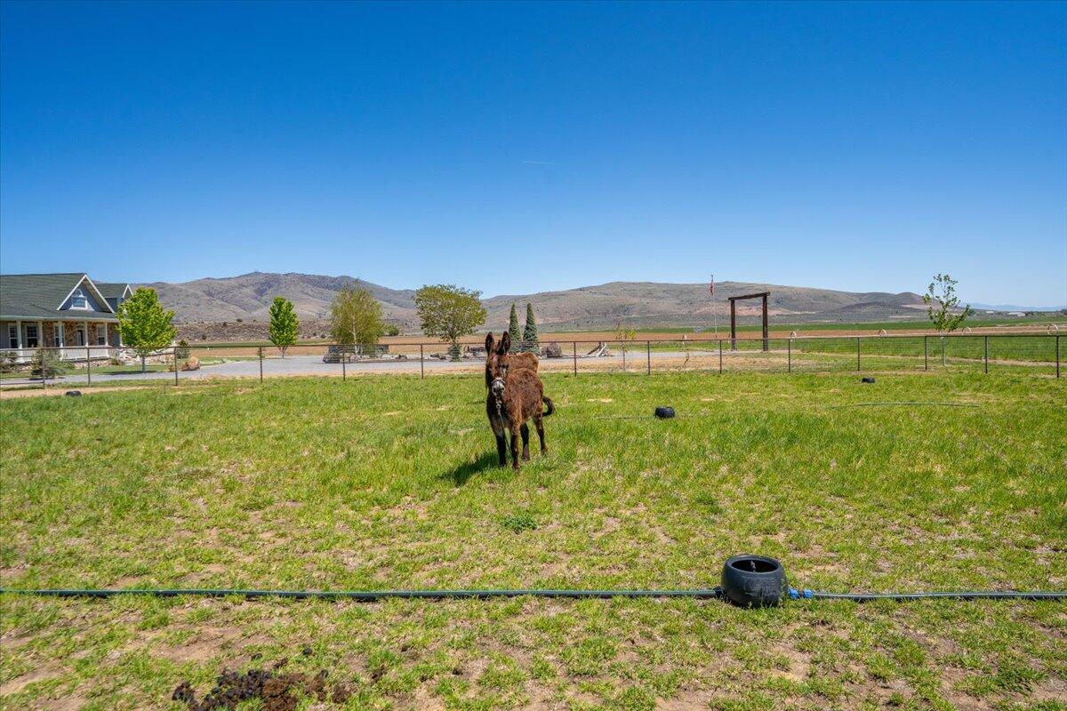 main property photo 100