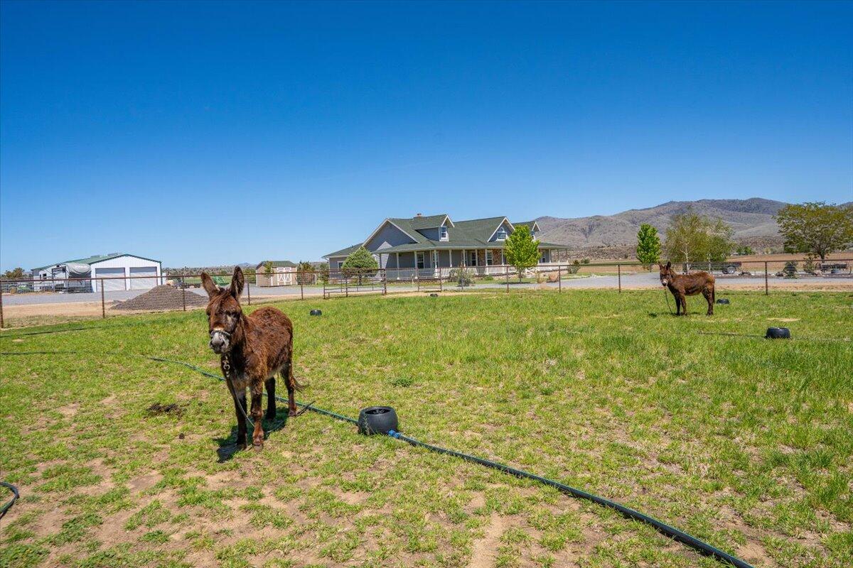 main property photo 101