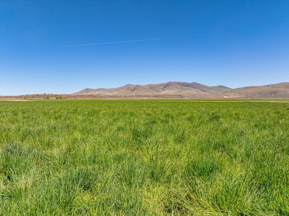 main property photo 105