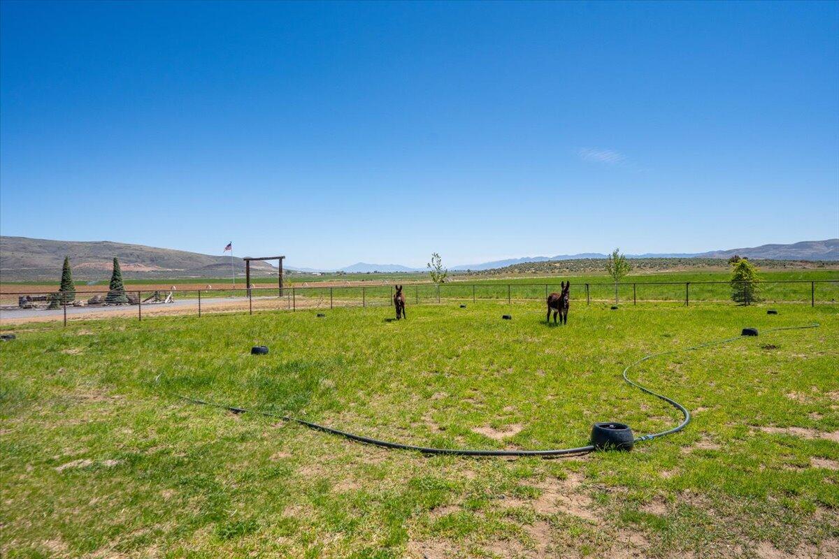 main property photo 99