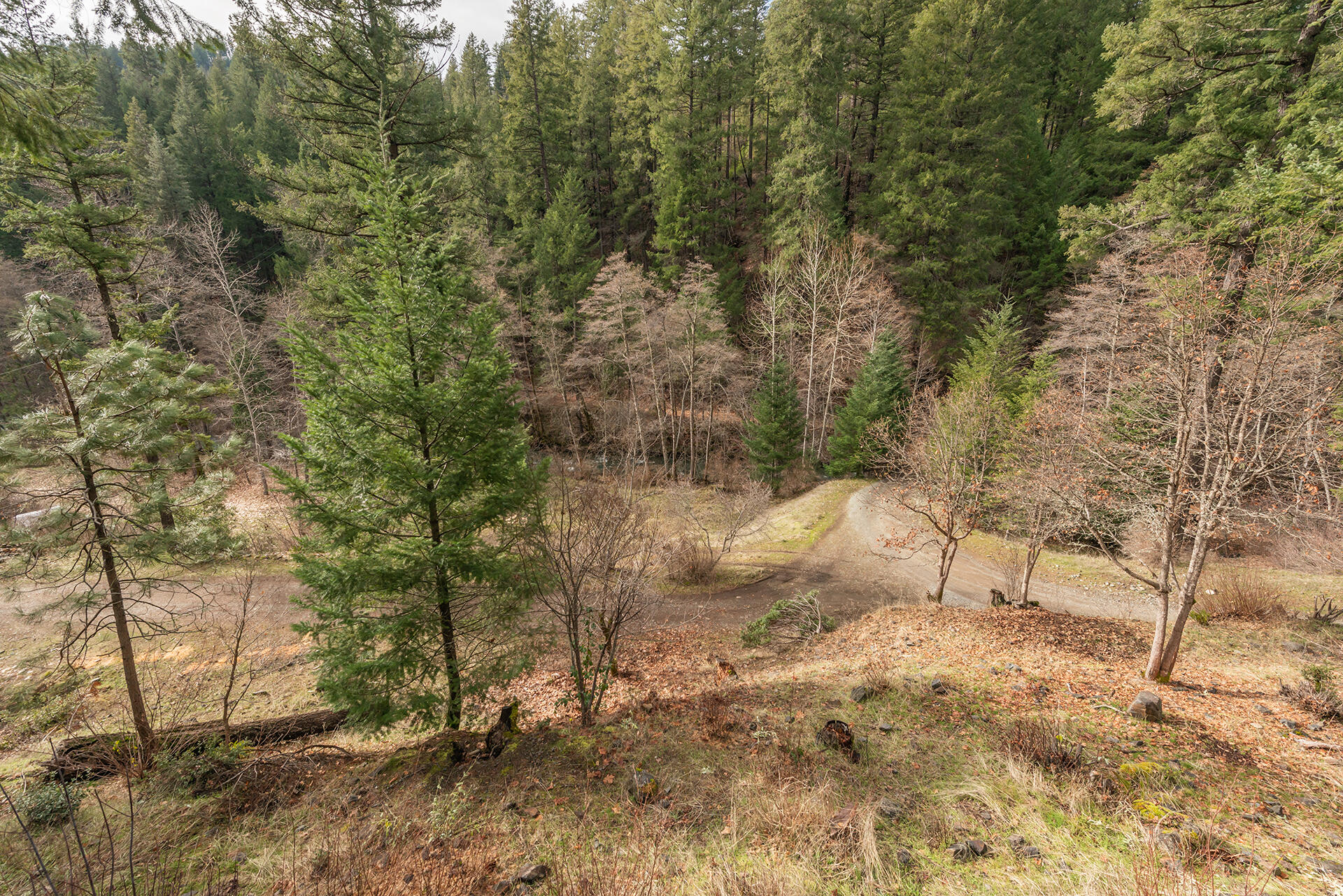 main property photo 28