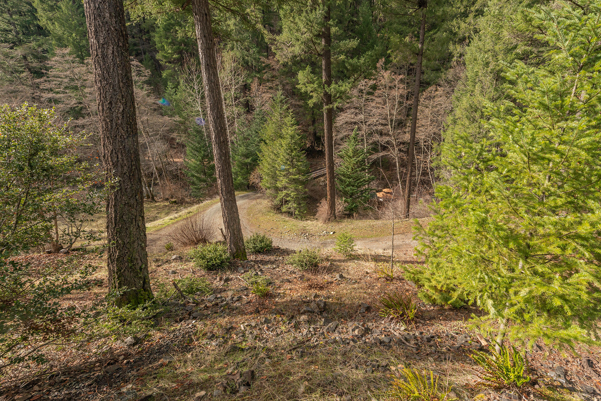 main property photo 47