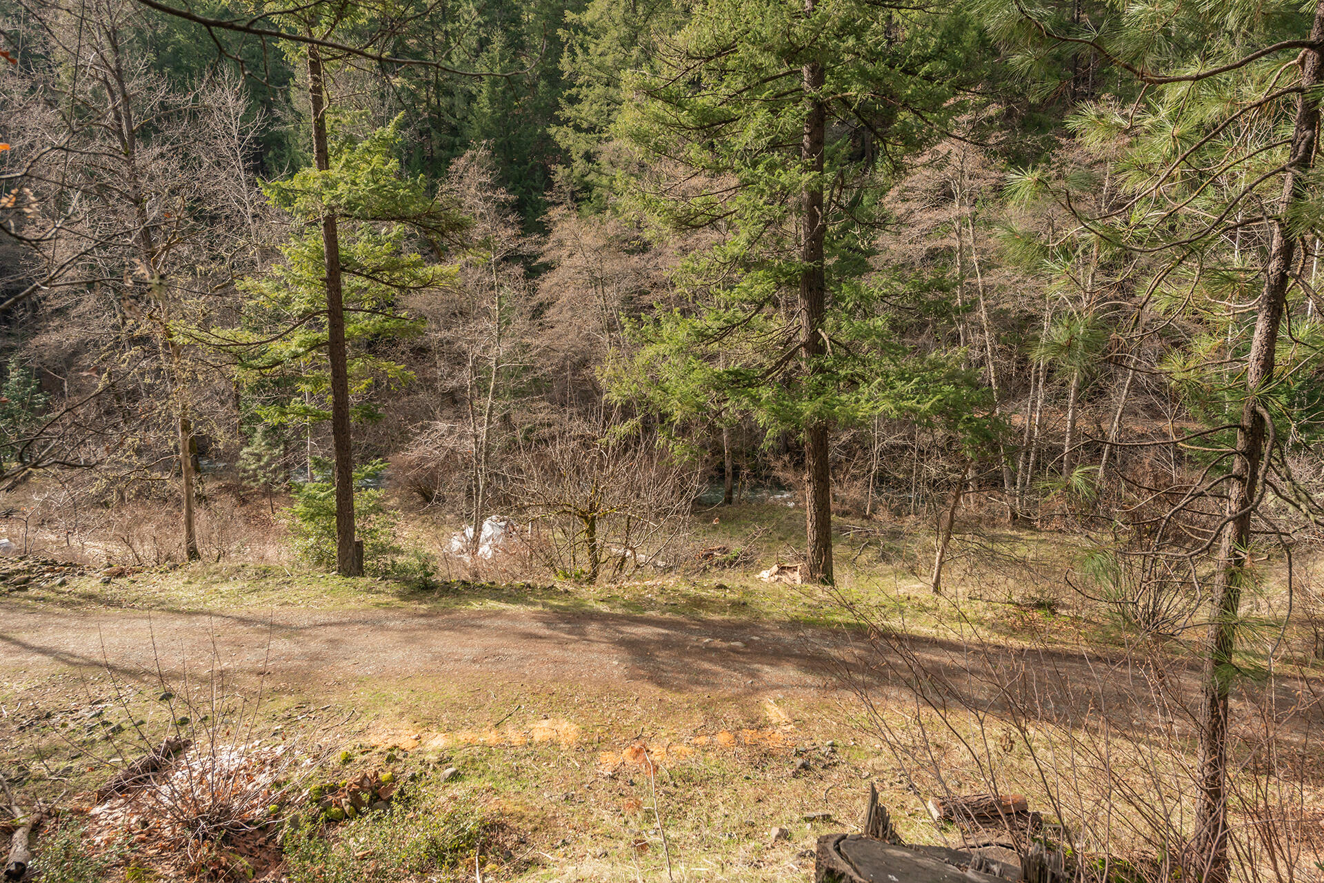 main property photo 50