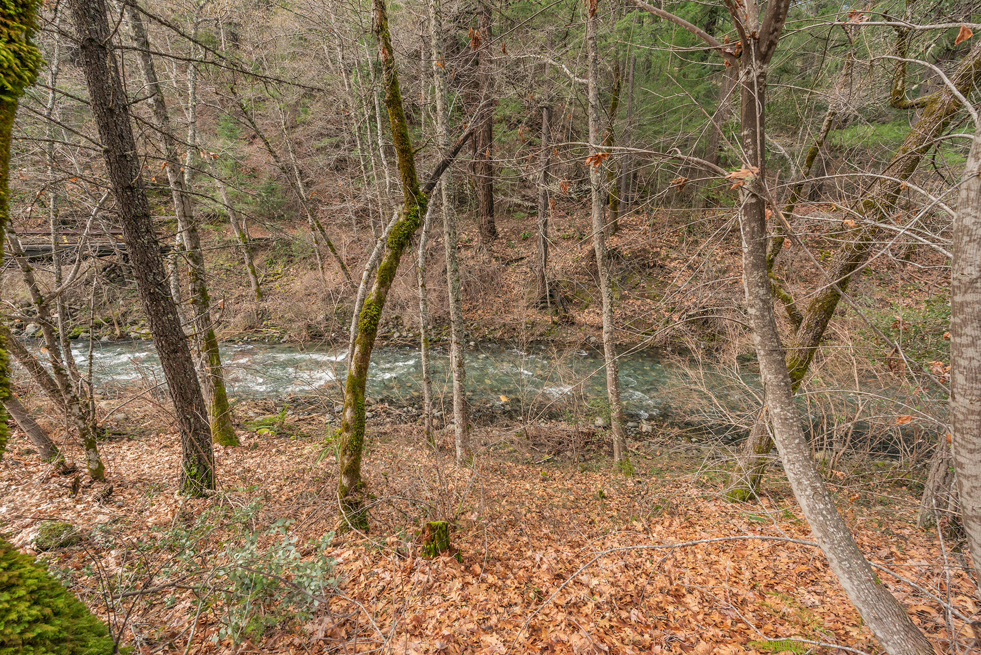 main property photo 53