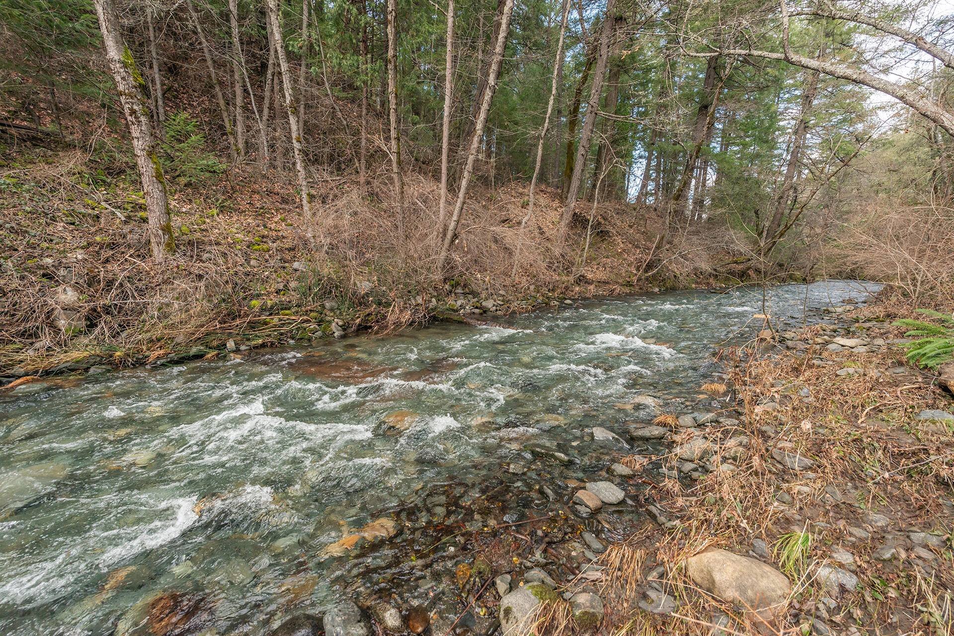 main property photo 57