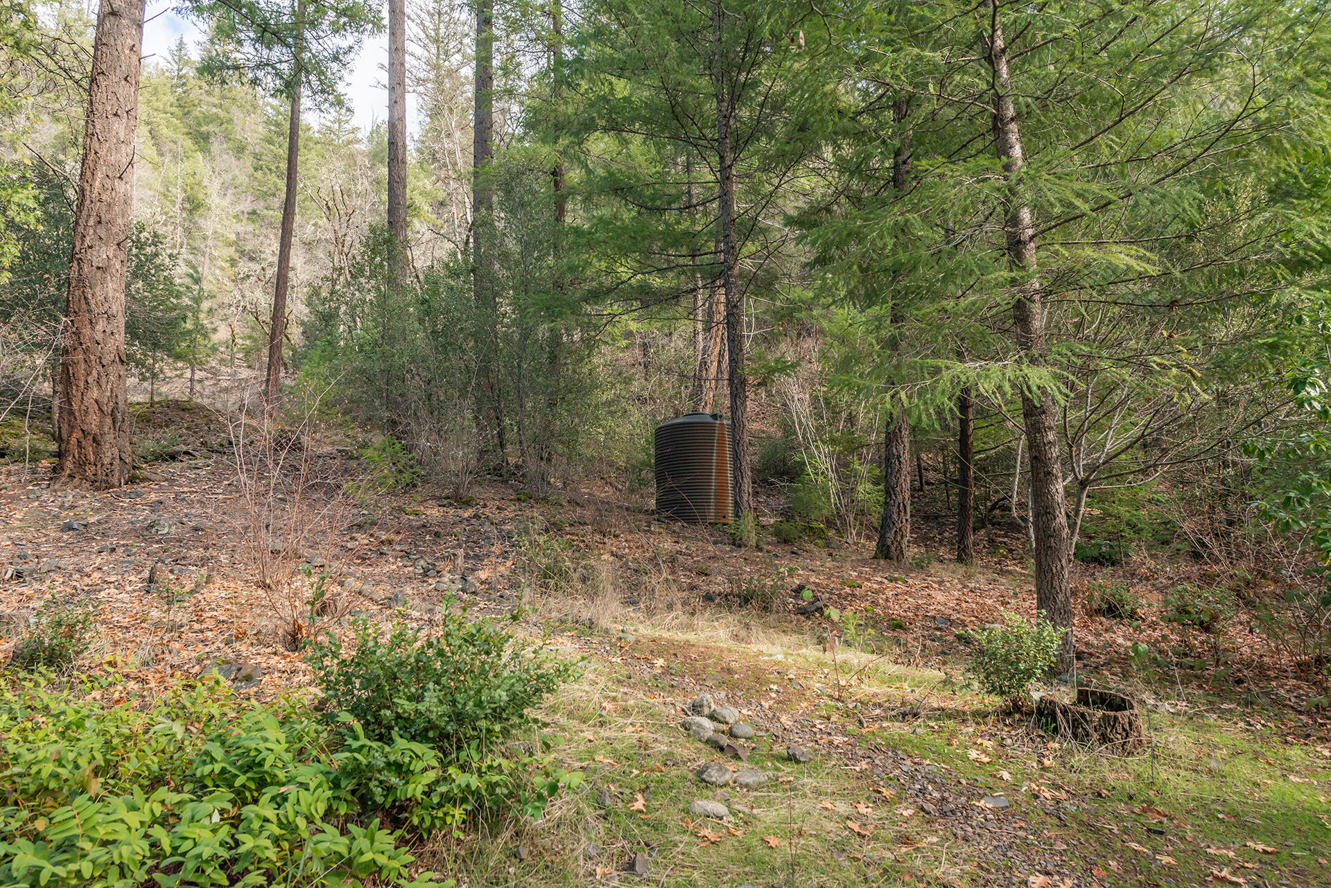 main property photo 65