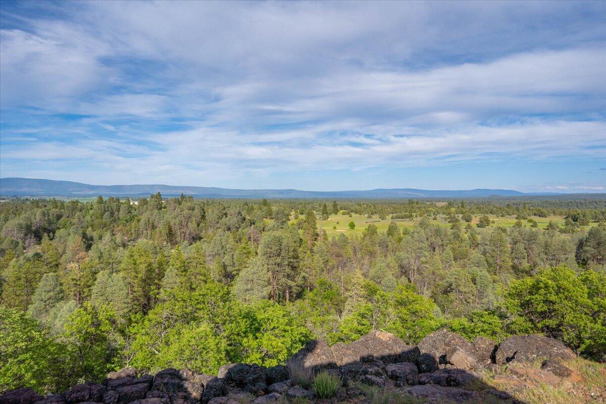 main property photo 106