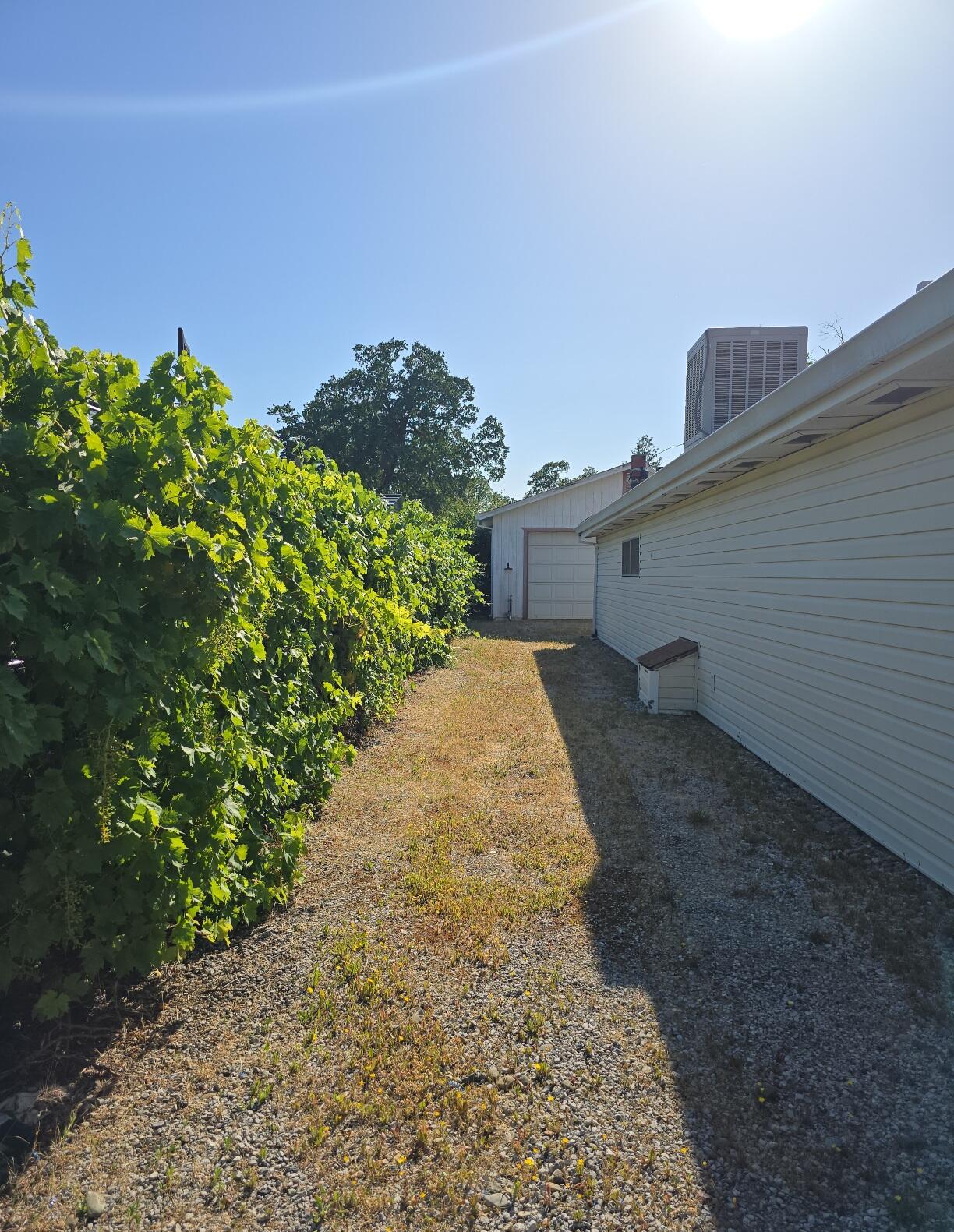 main property photo 36