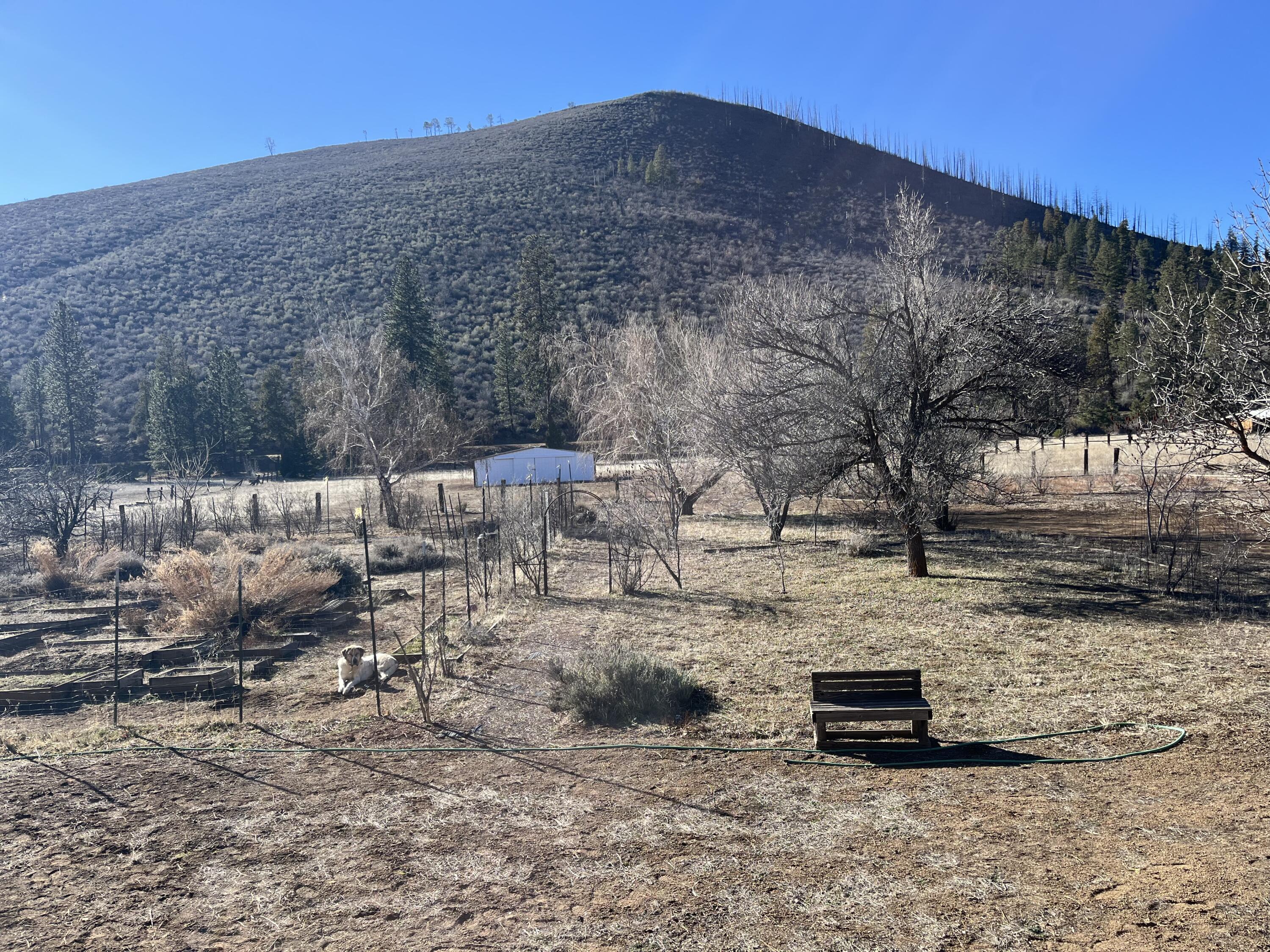 main property photo 25