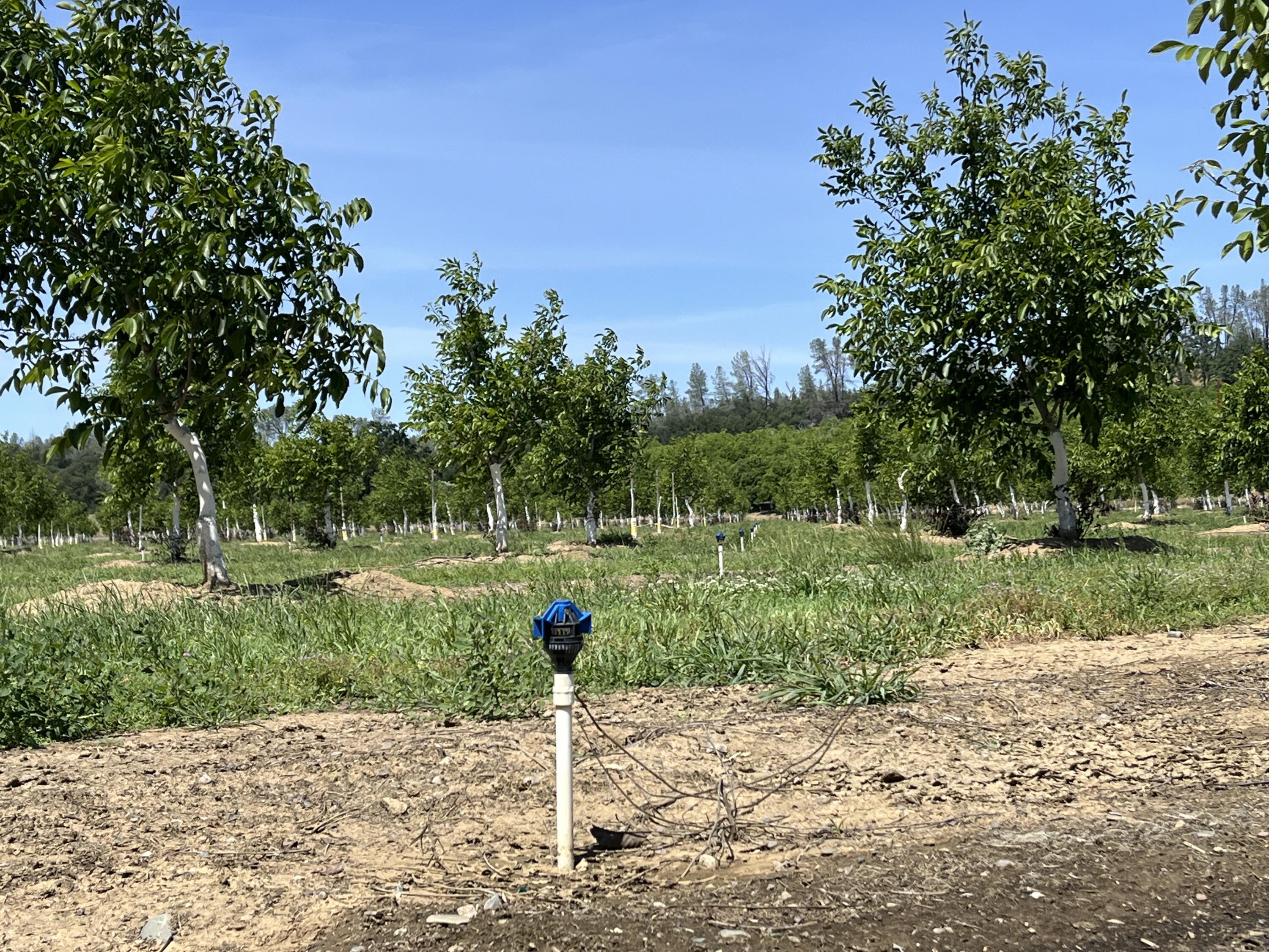 main property photo 24