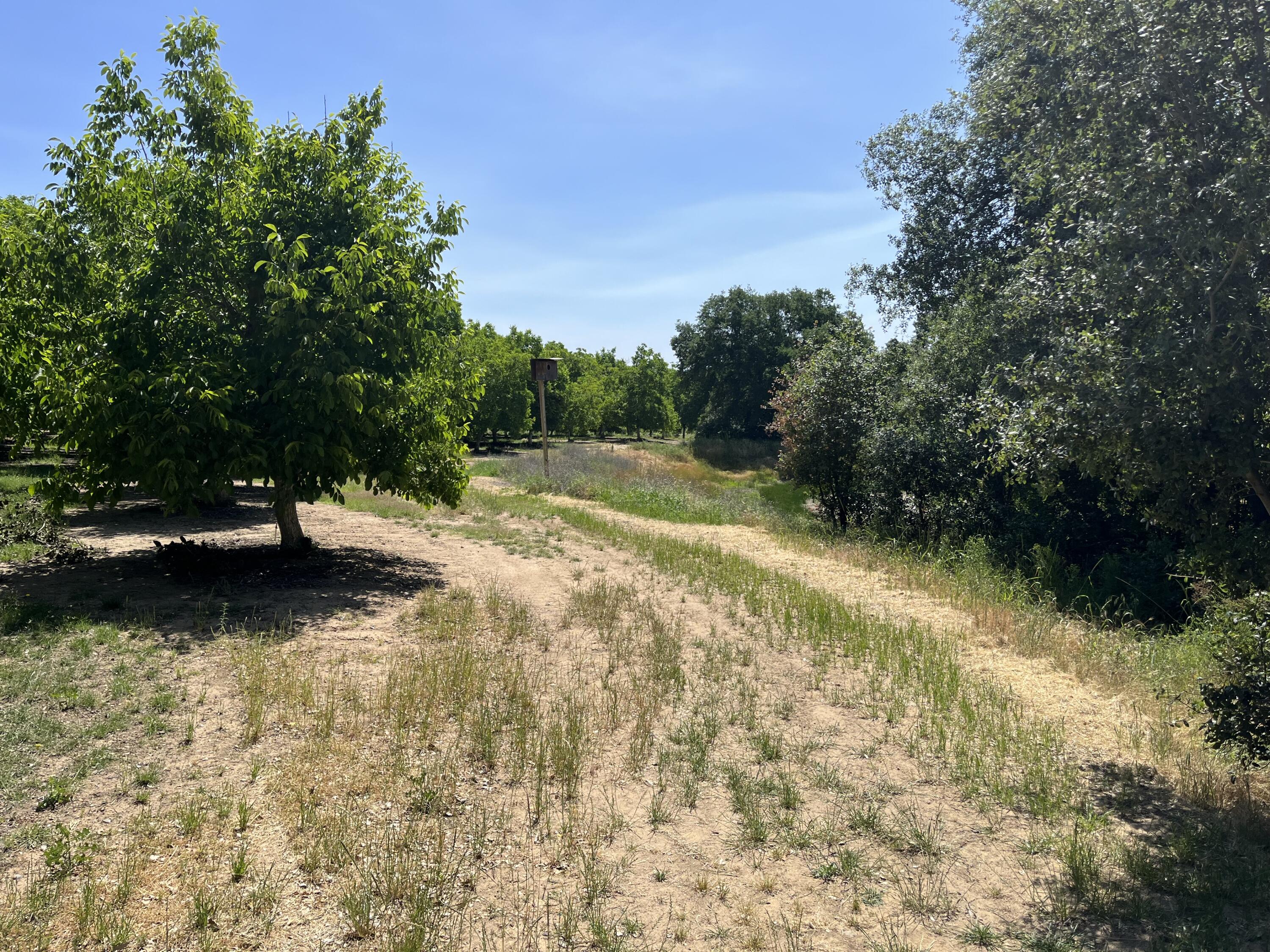 main property photo 29