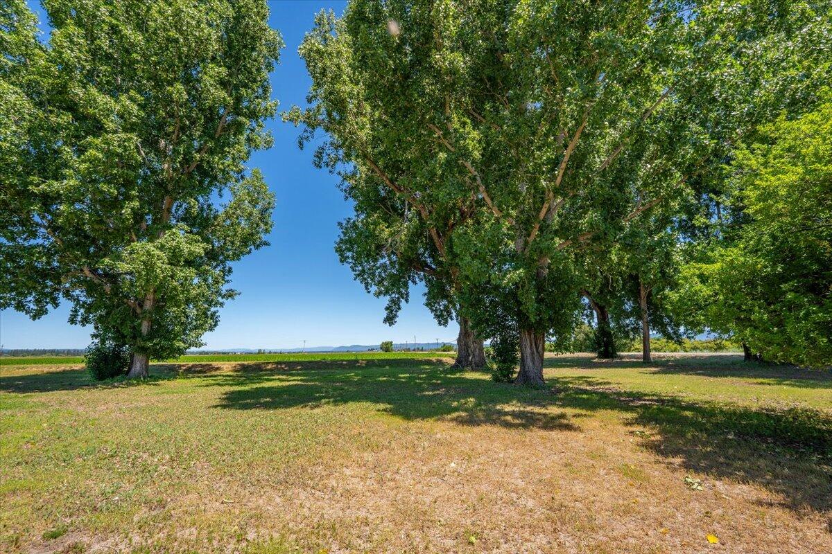 main property photo 69
