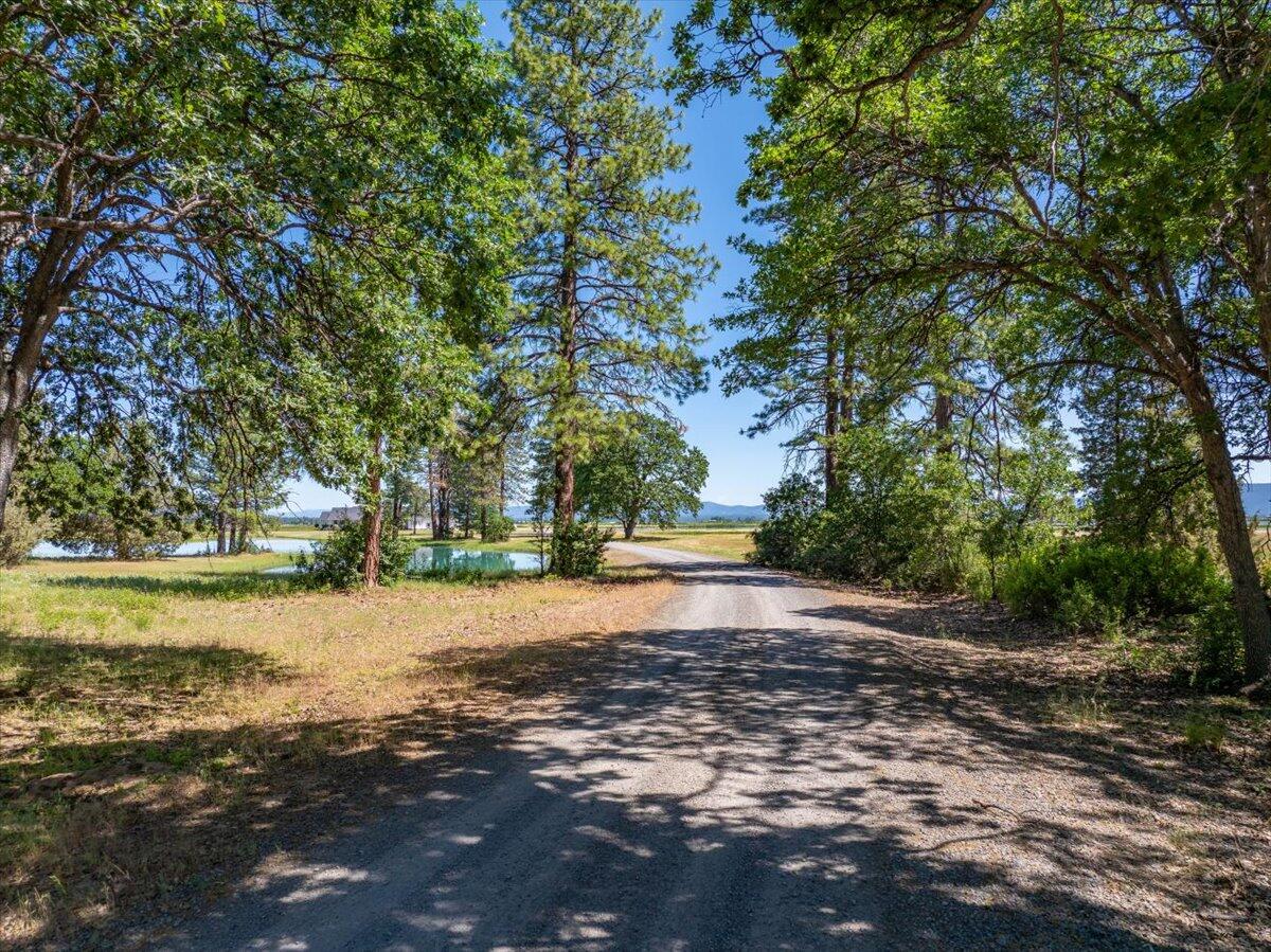 main property photo 83