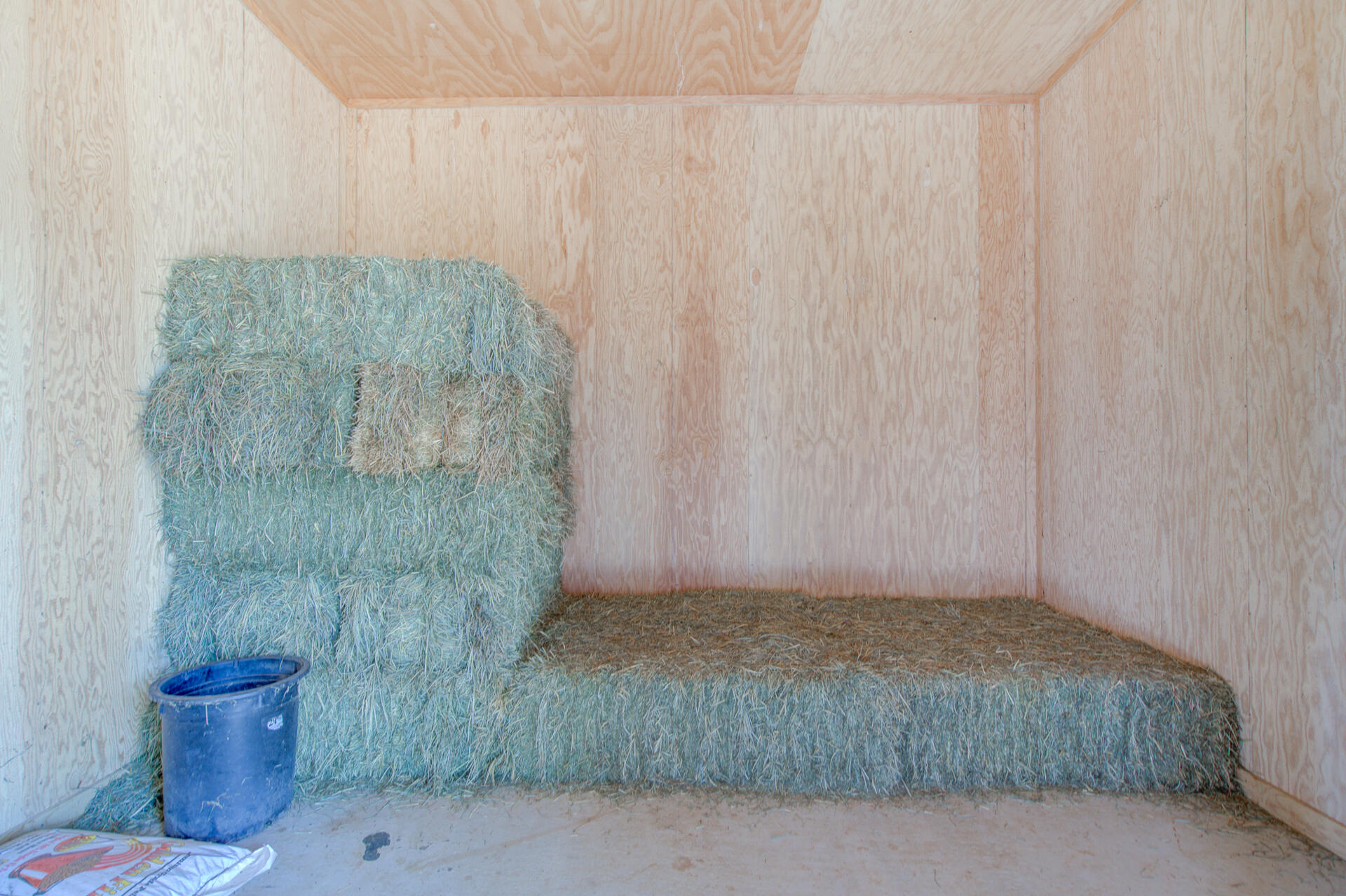 main property photo 61