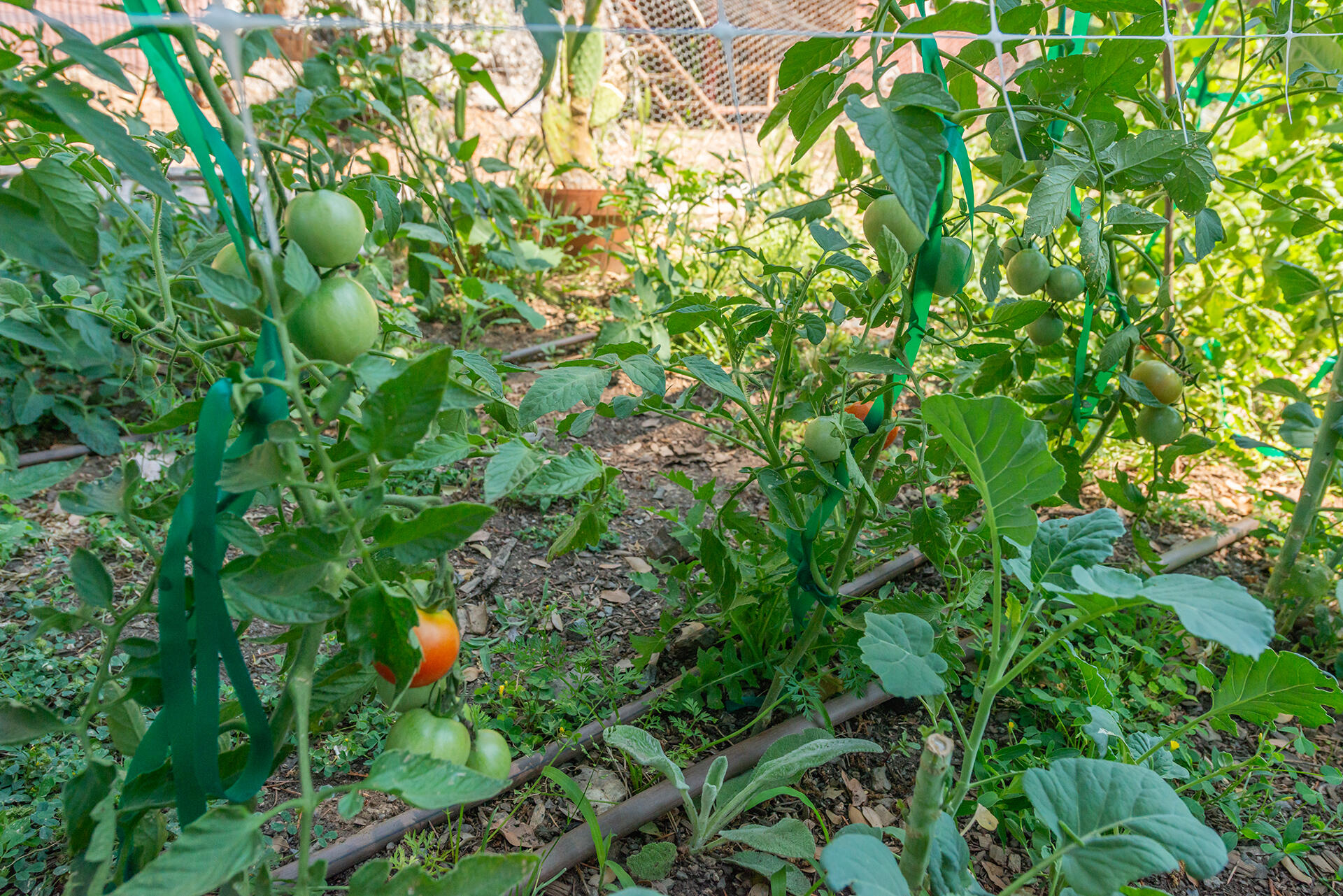 main property photo 39