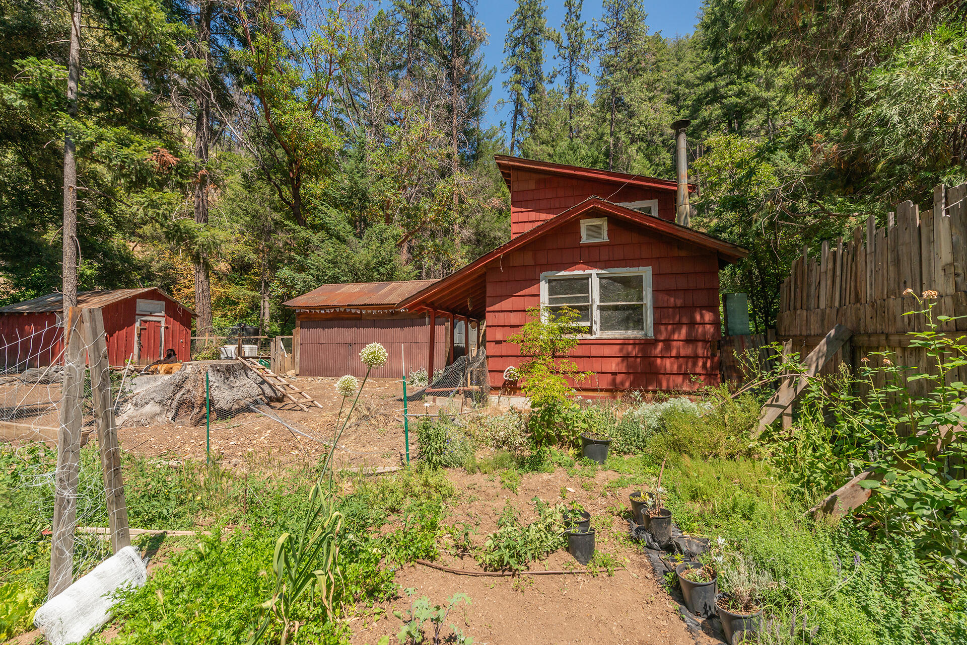 main property photo 41