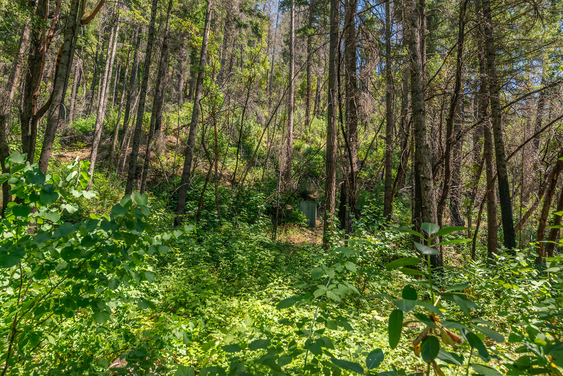 main property photo 47