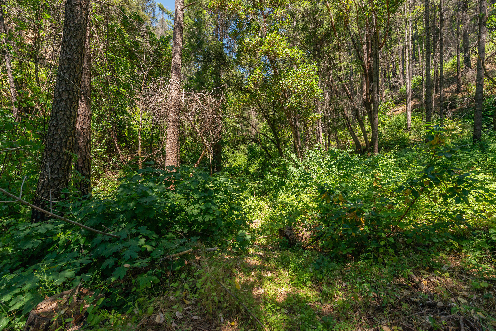 main property photo 48