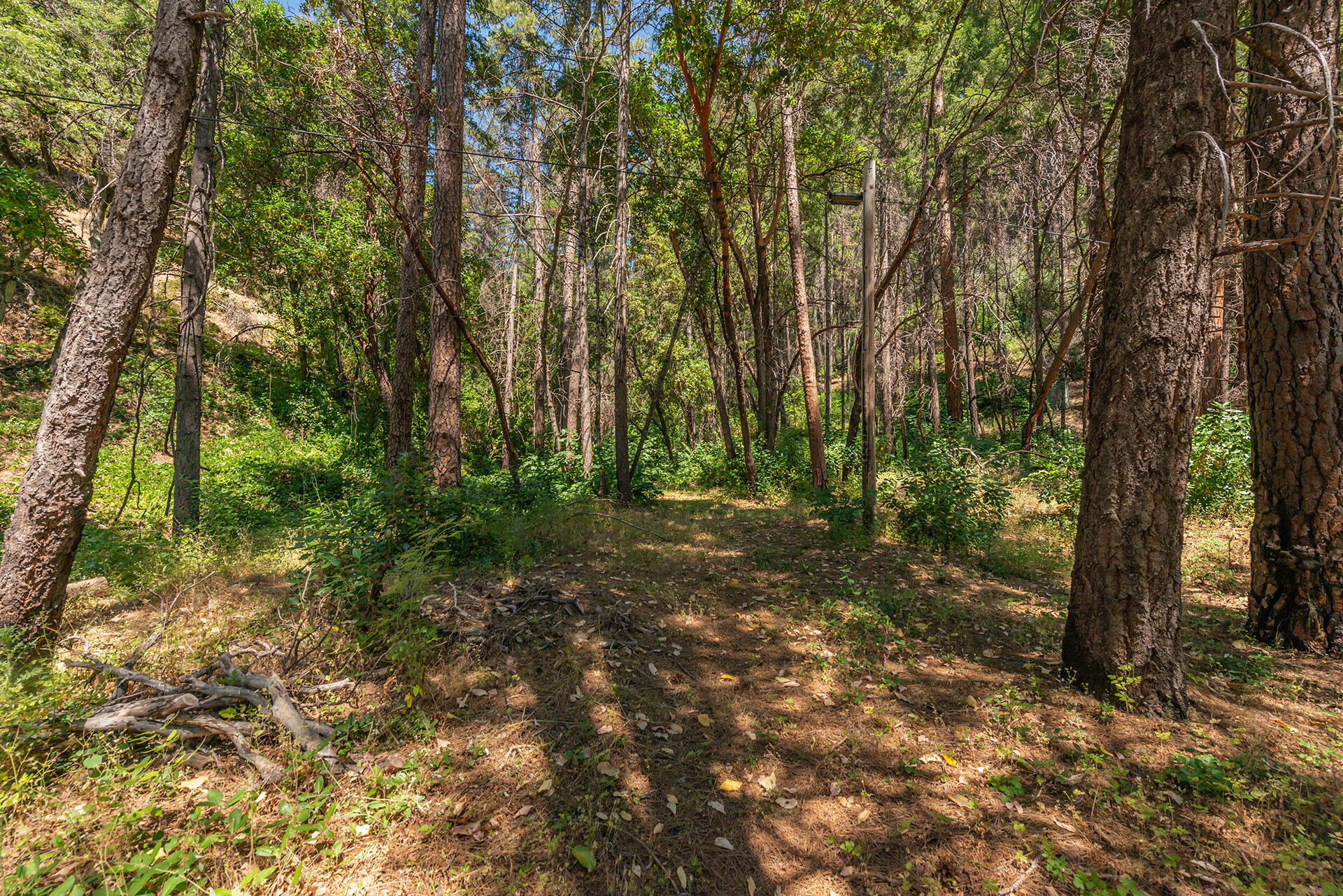 main property photo 49