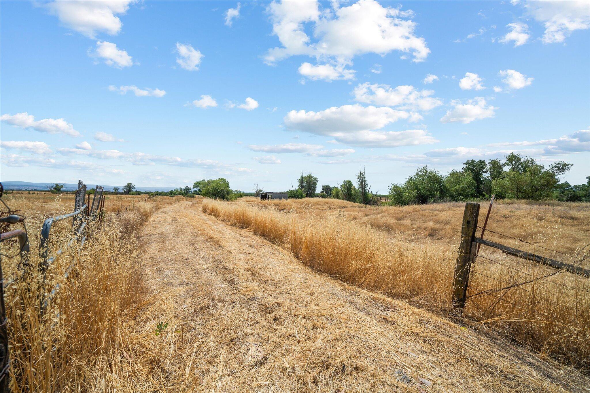 main property photo 35