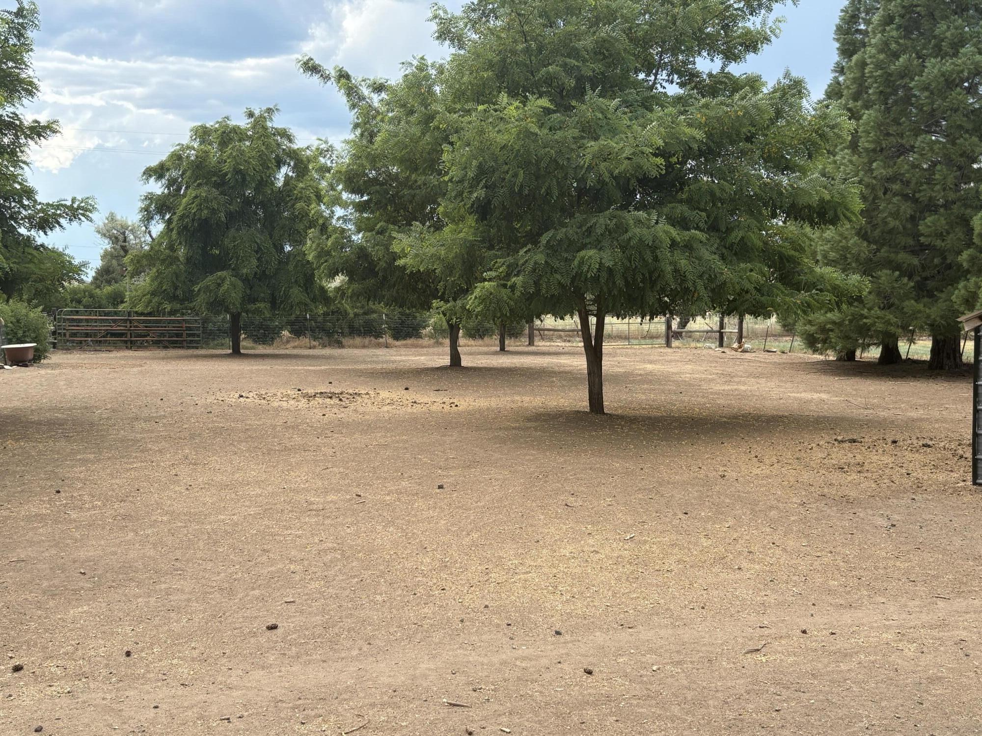 main property photo 21
