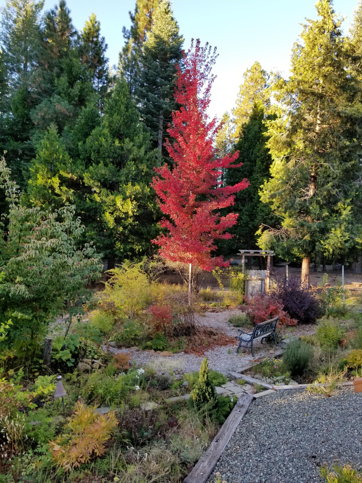 main property photo 22