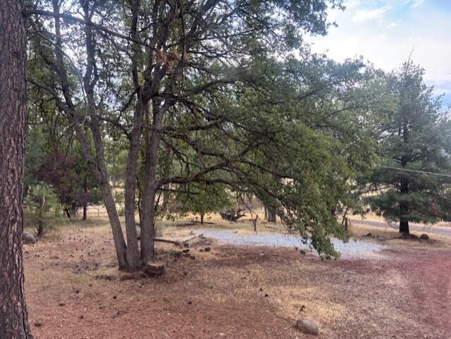 main property photo 53