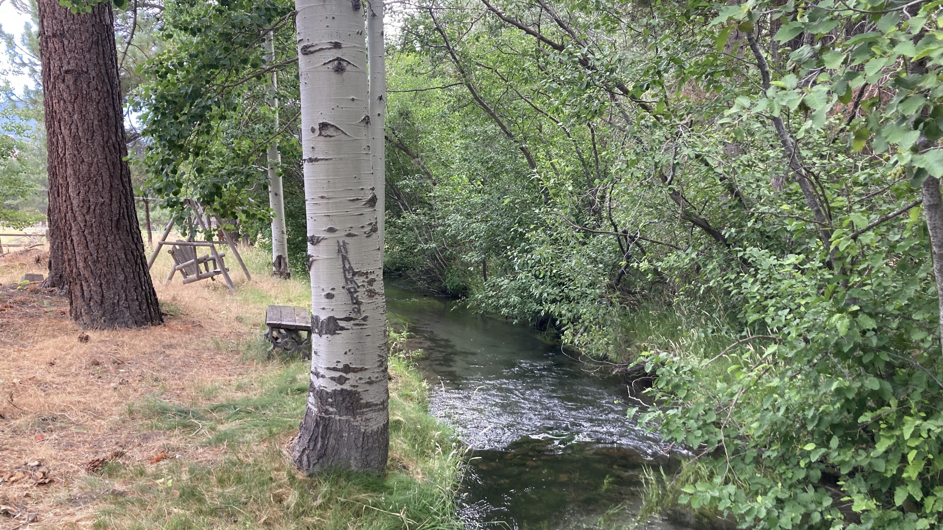 main property photo 15