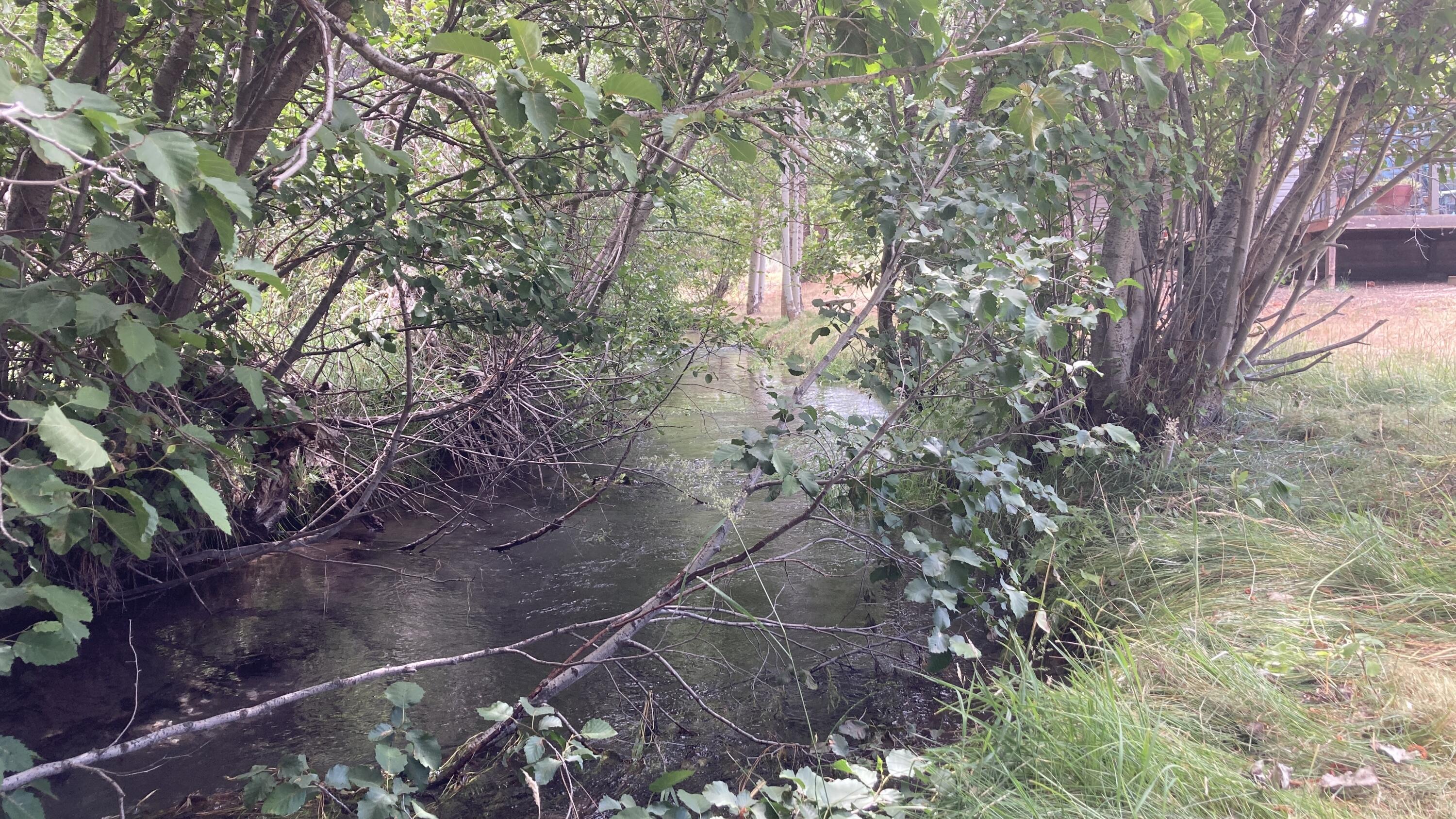 main property photo 17