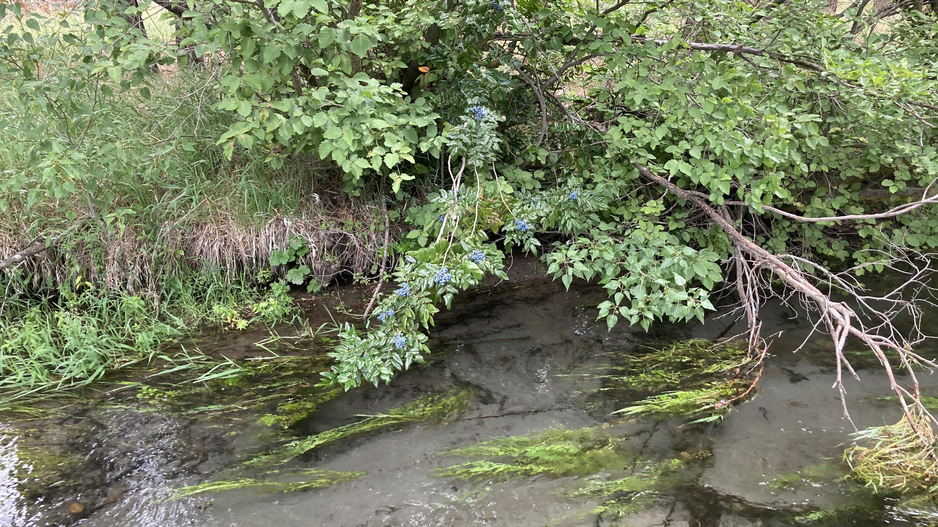main property photo 20