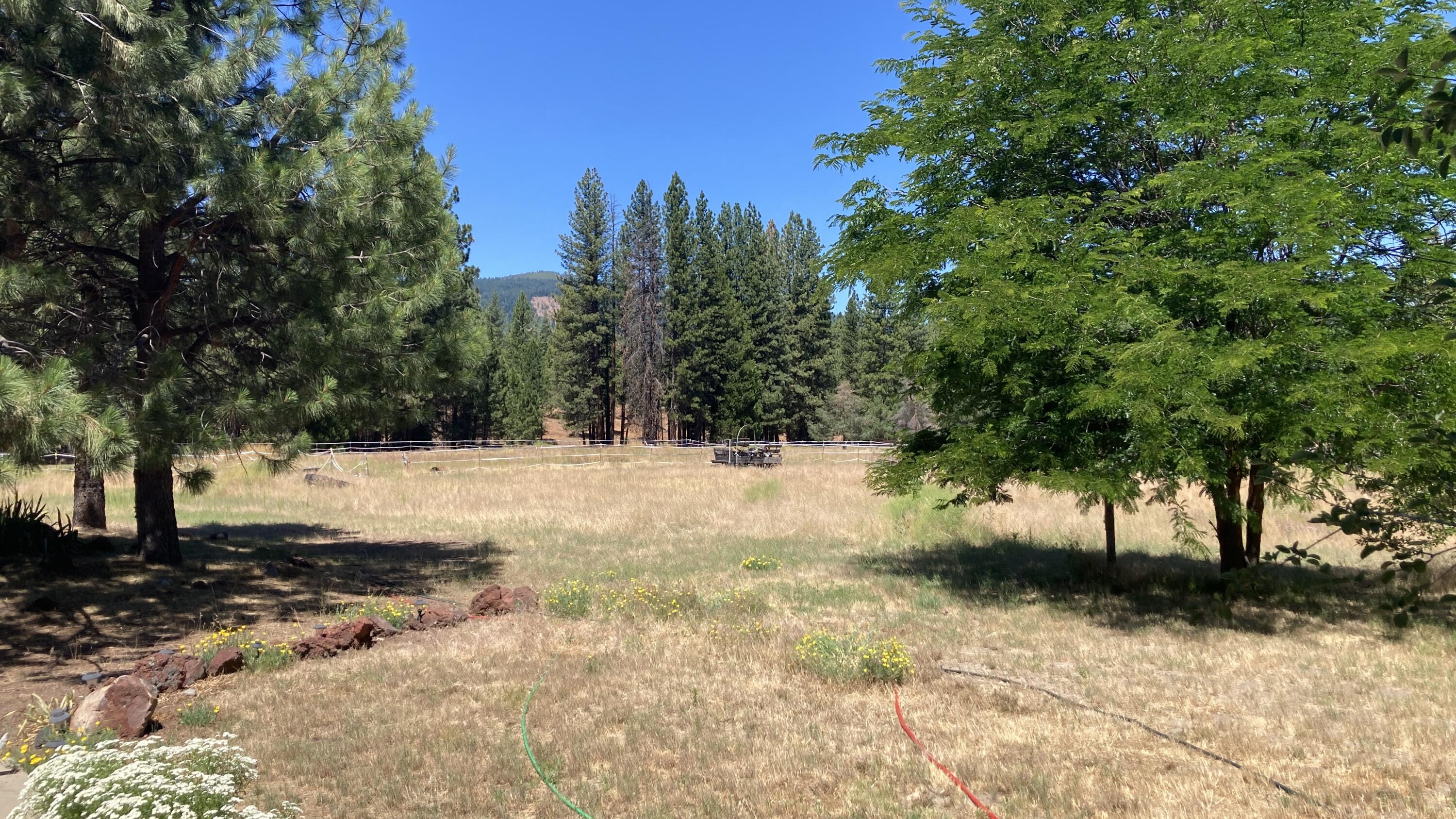 main property photo 65