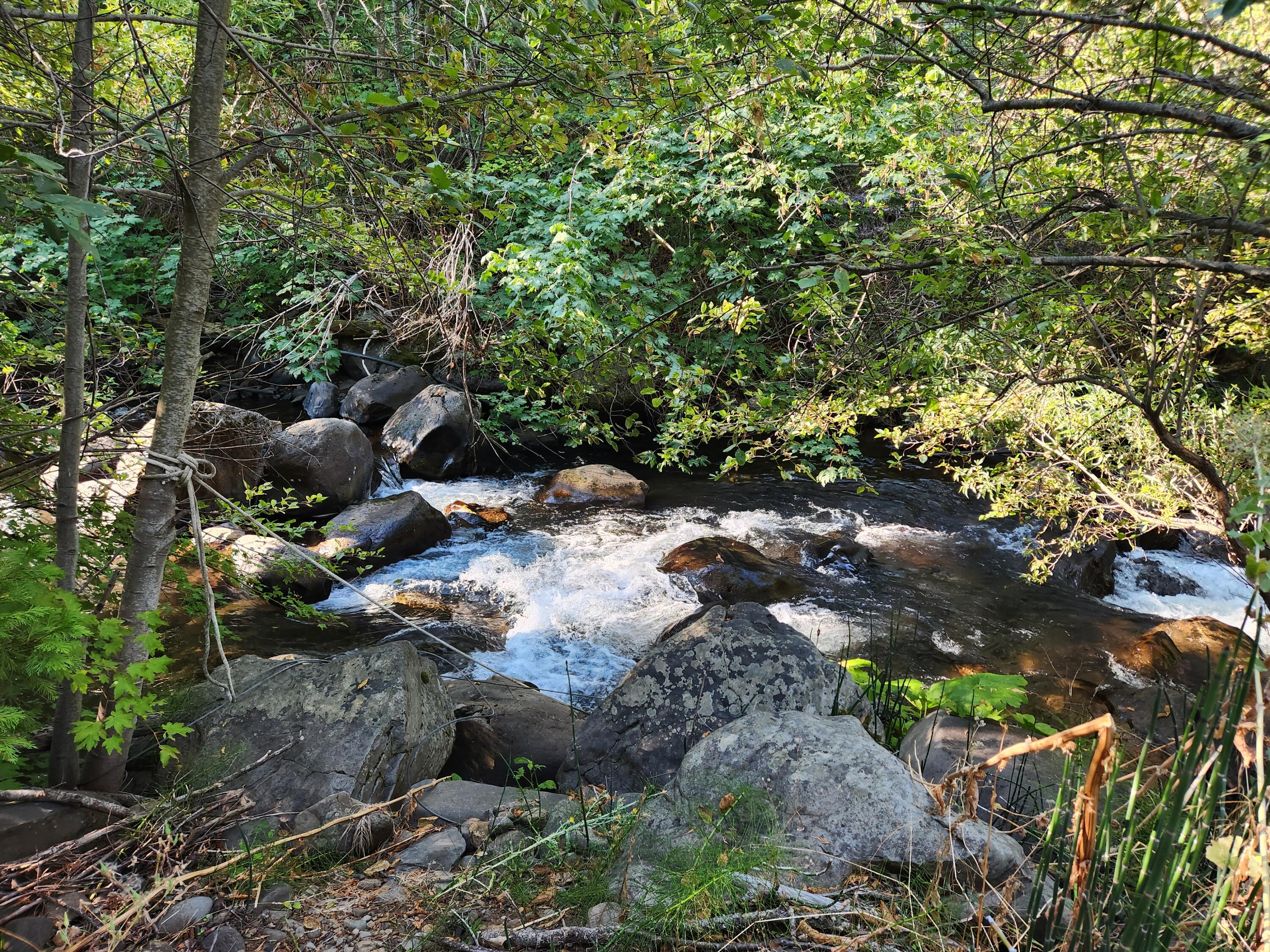 property viewer photo 1