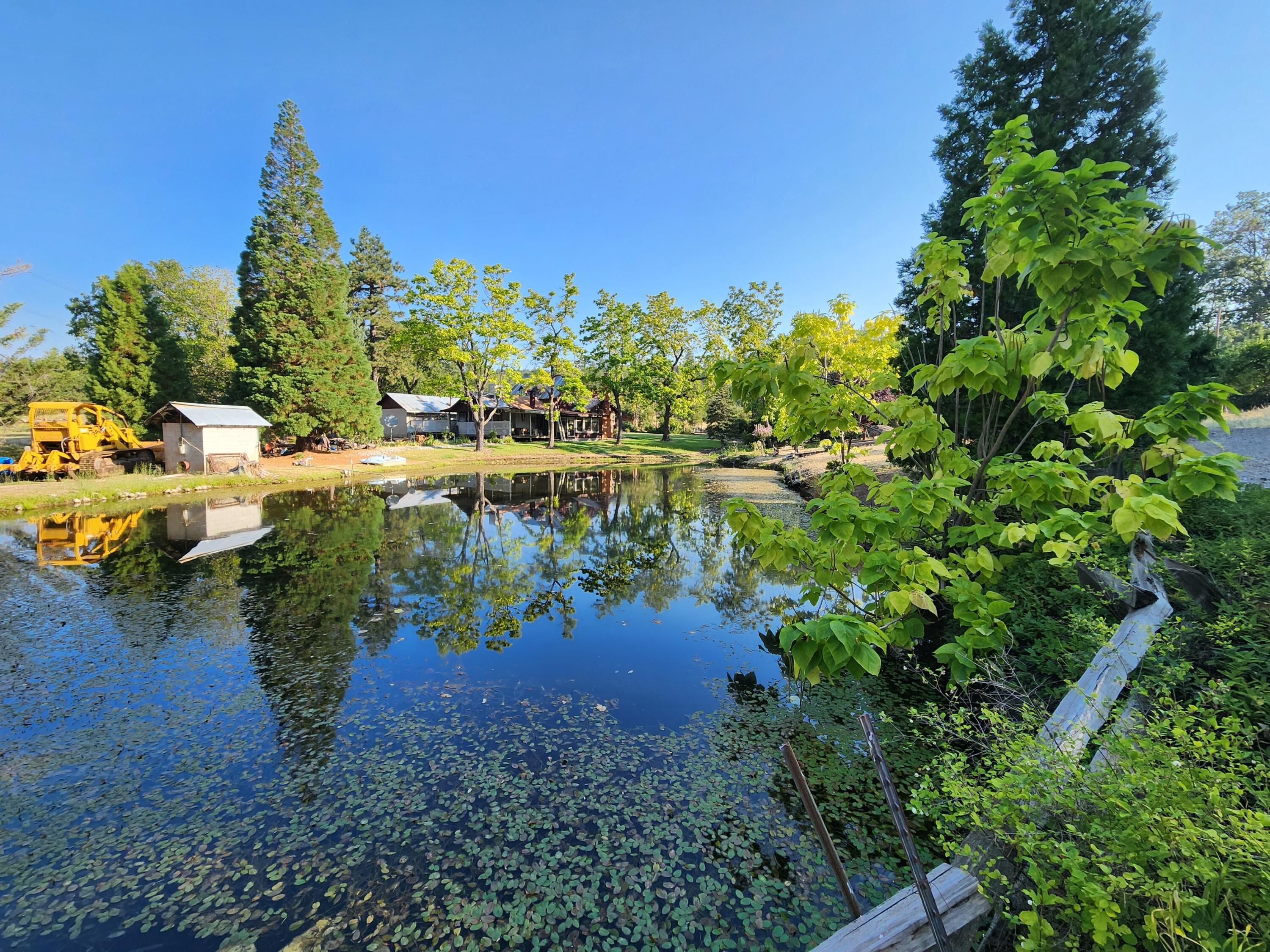 property viewer photo 12